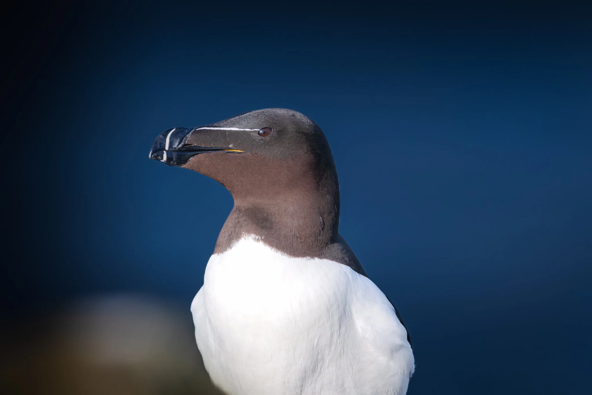 20.06.25 (17 of 51).jpg