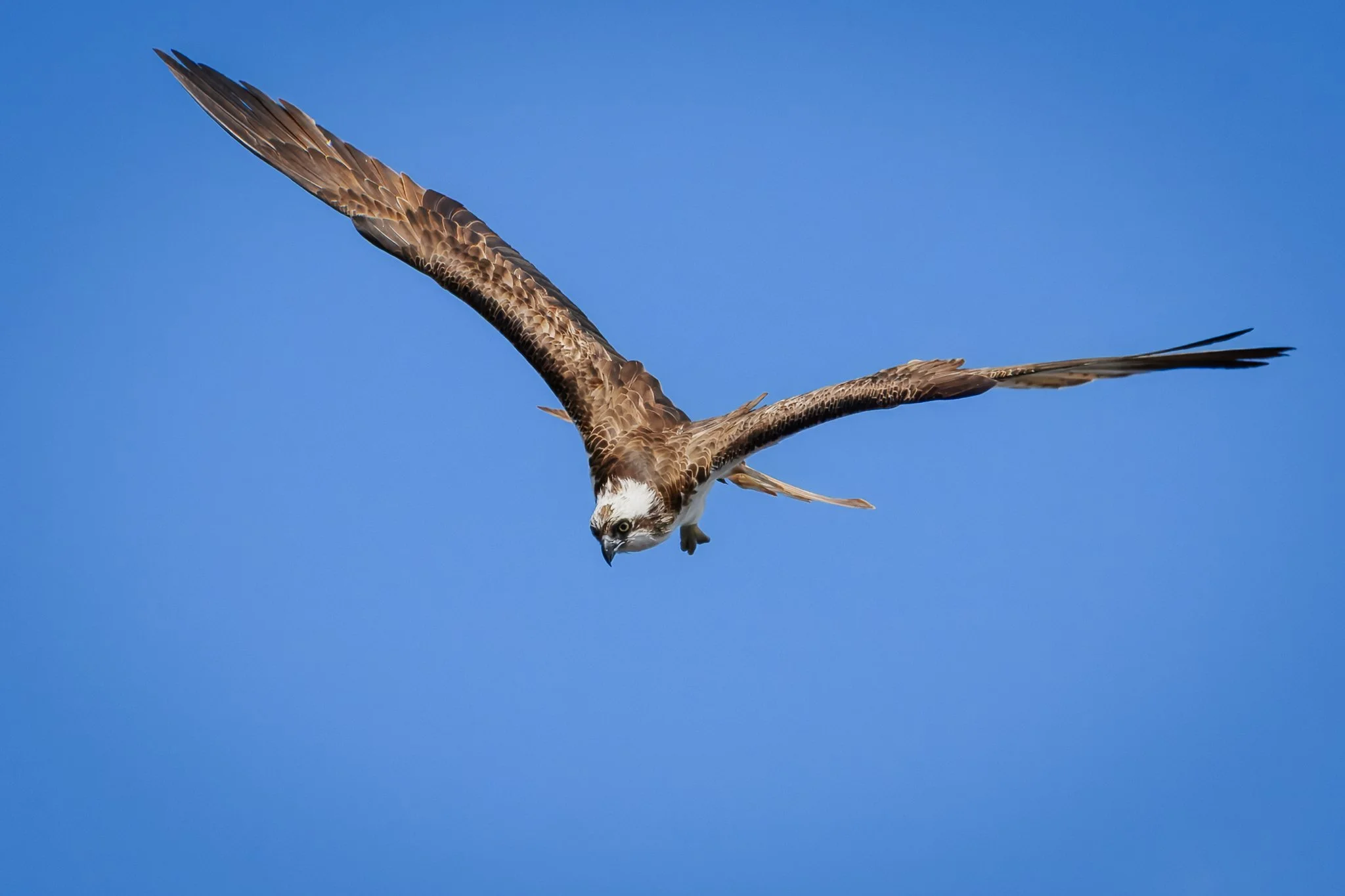 22.05.25 (33 of 34).jpg