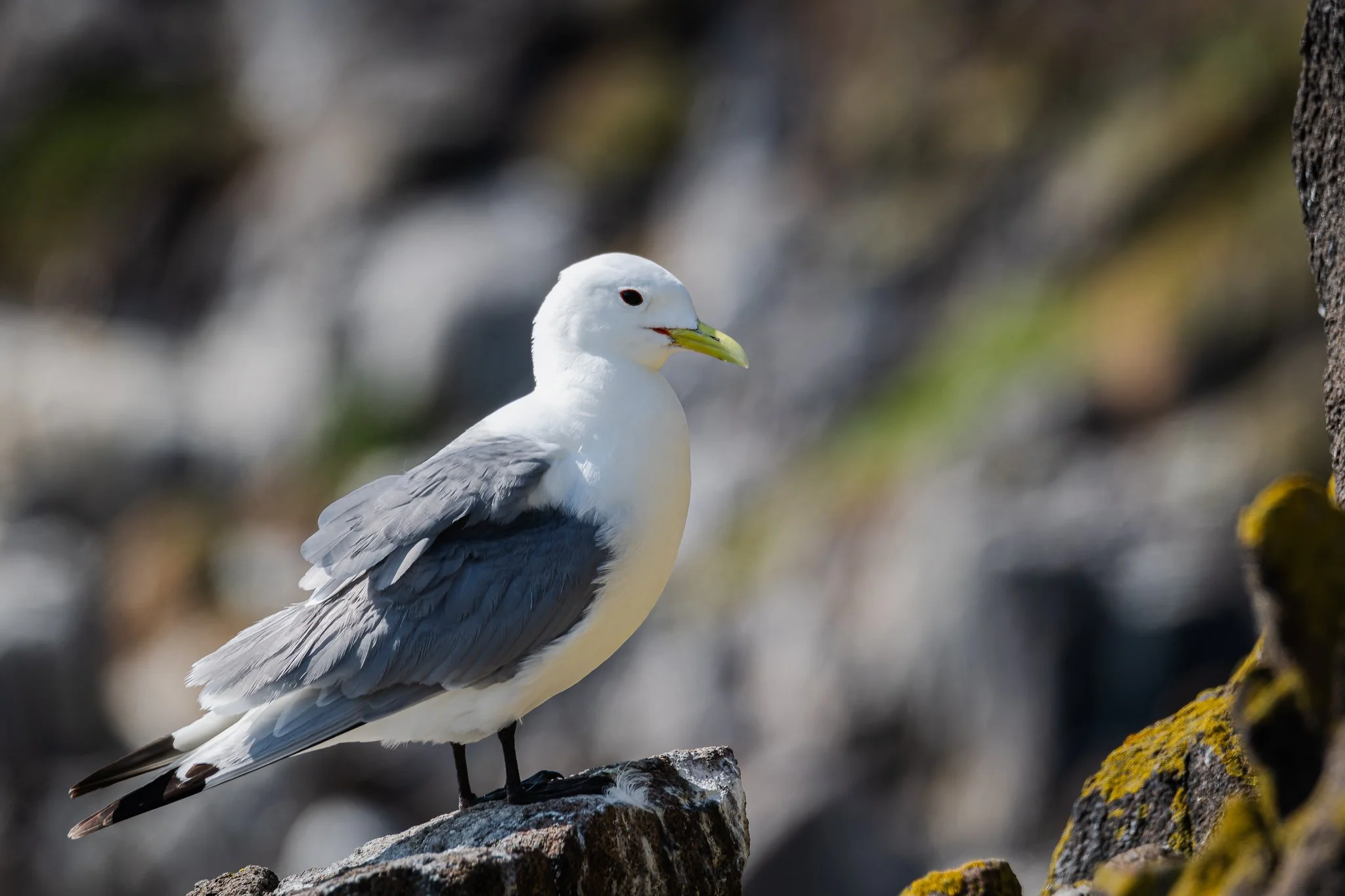 20.06.25 (37 of 51).jpg