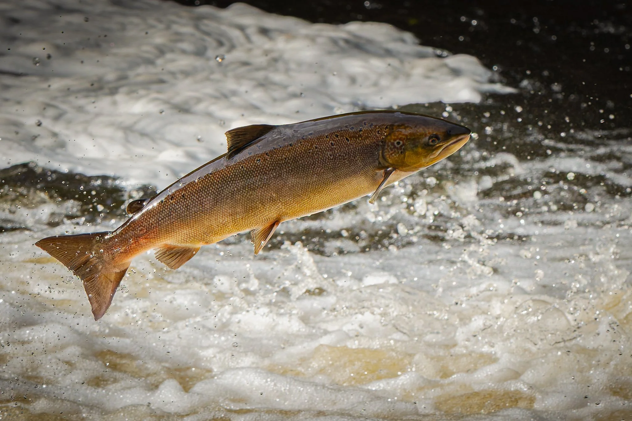 05.10.25 (24 of 45).jpg