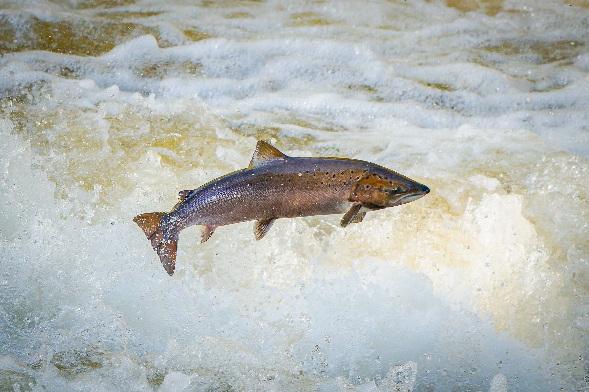 05.10.25 (8 of 45).jpg