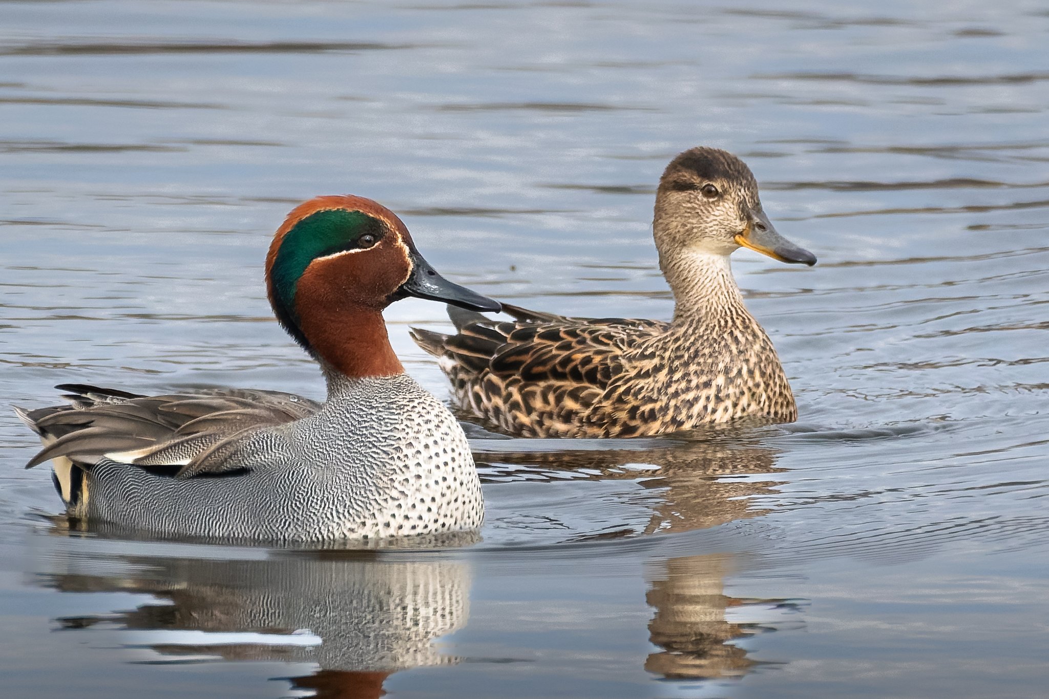 15.04.26-4.jpg