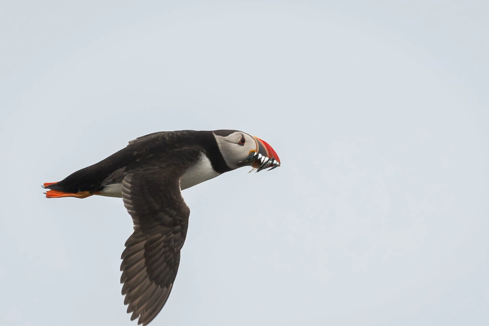 18.05.25 (42 of 49).jpg