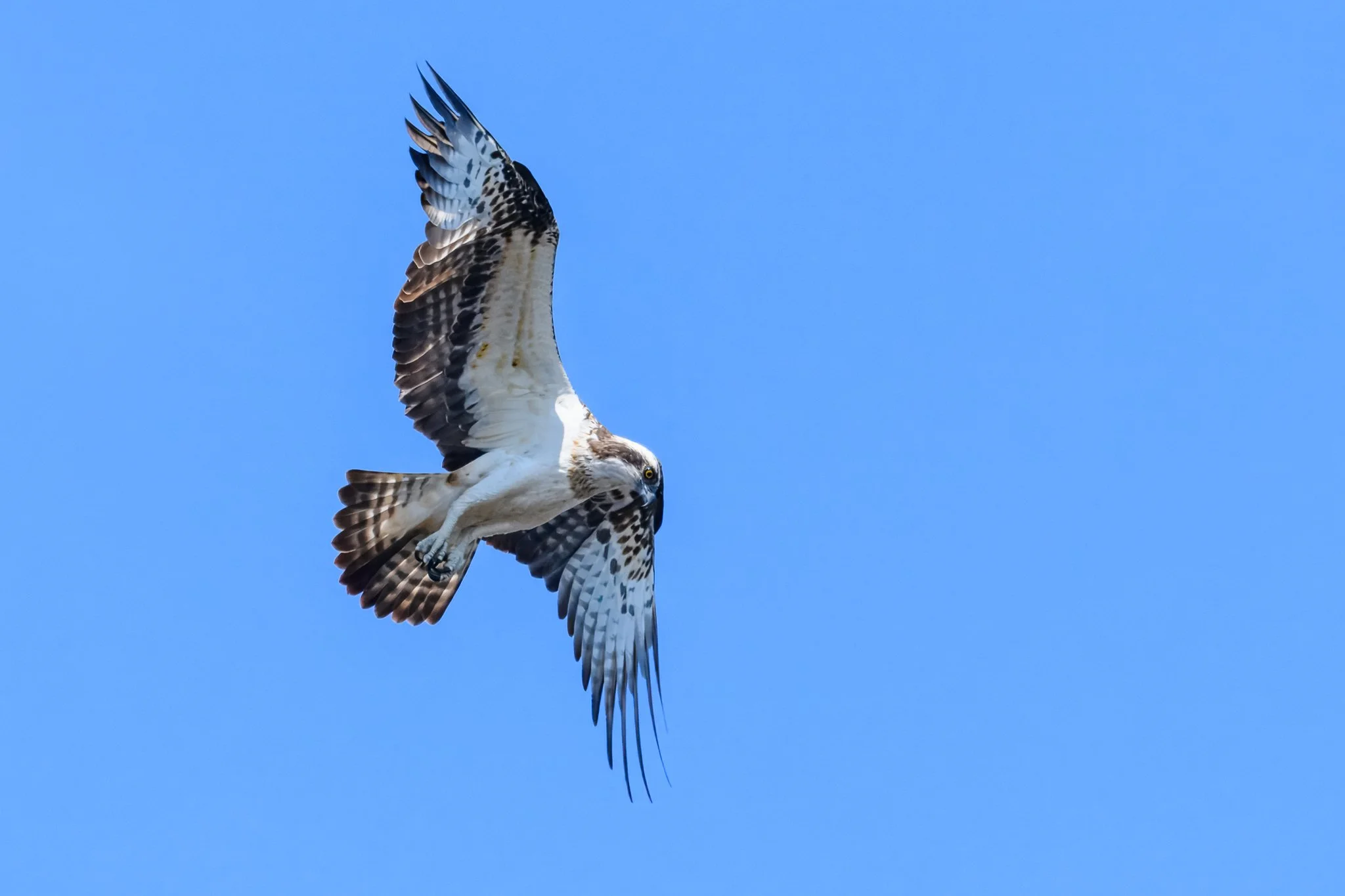 22.05.25 (23 of 34).jpg