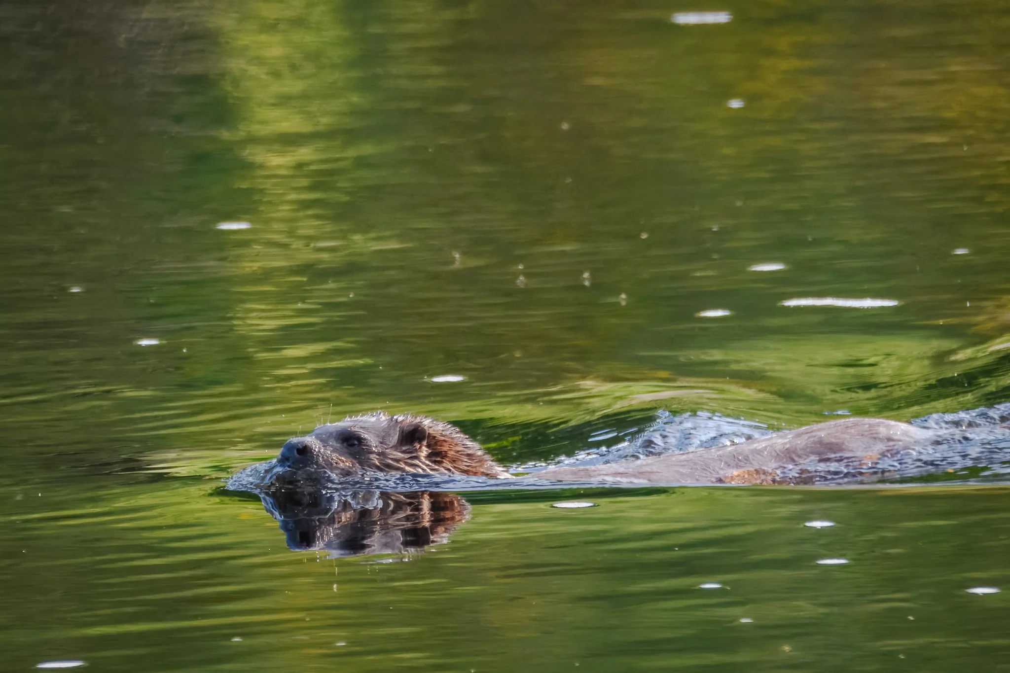 22.05.25 (12 of 34).jpg