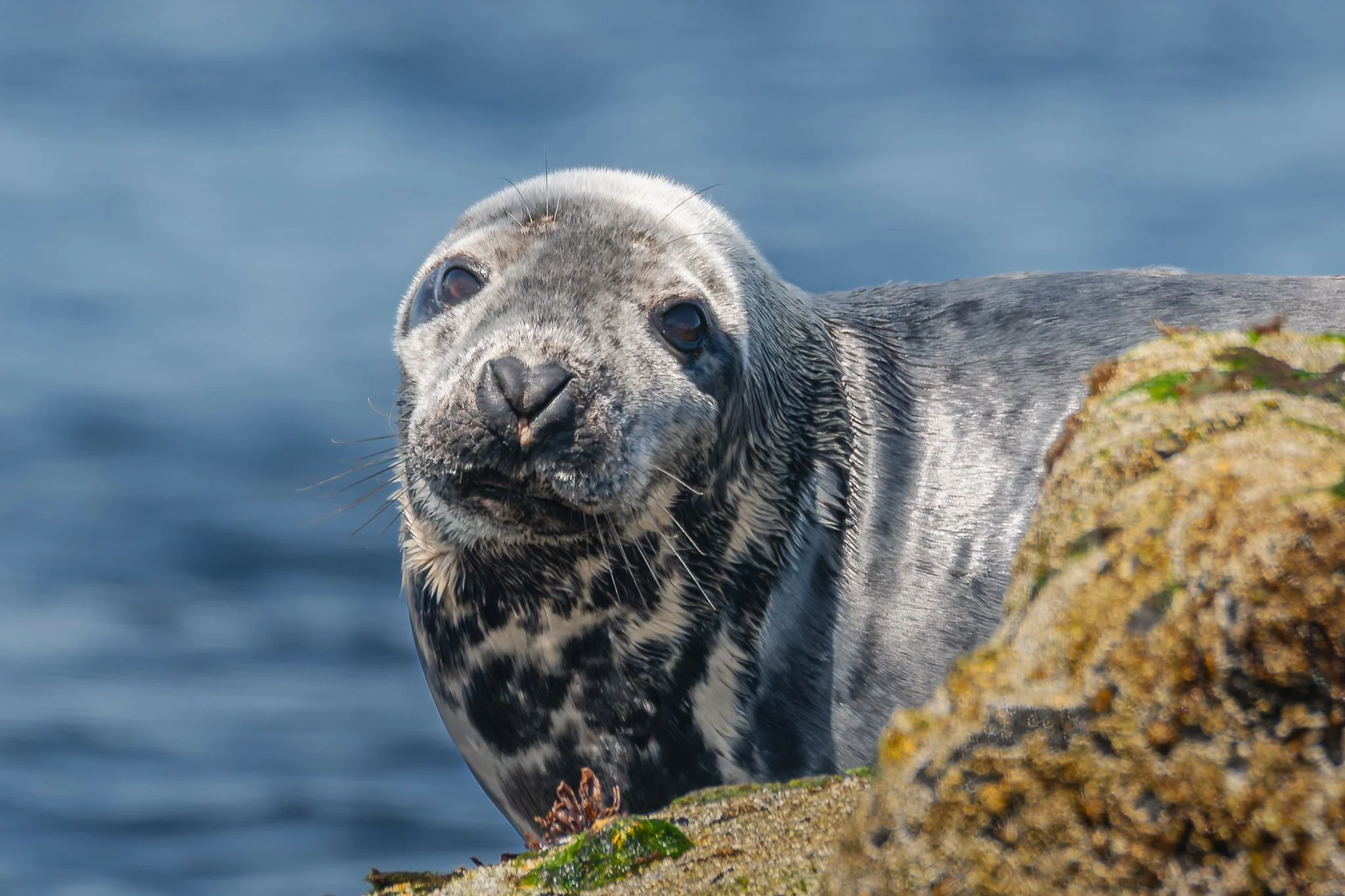 20.06.25 (24 of 51).jpg