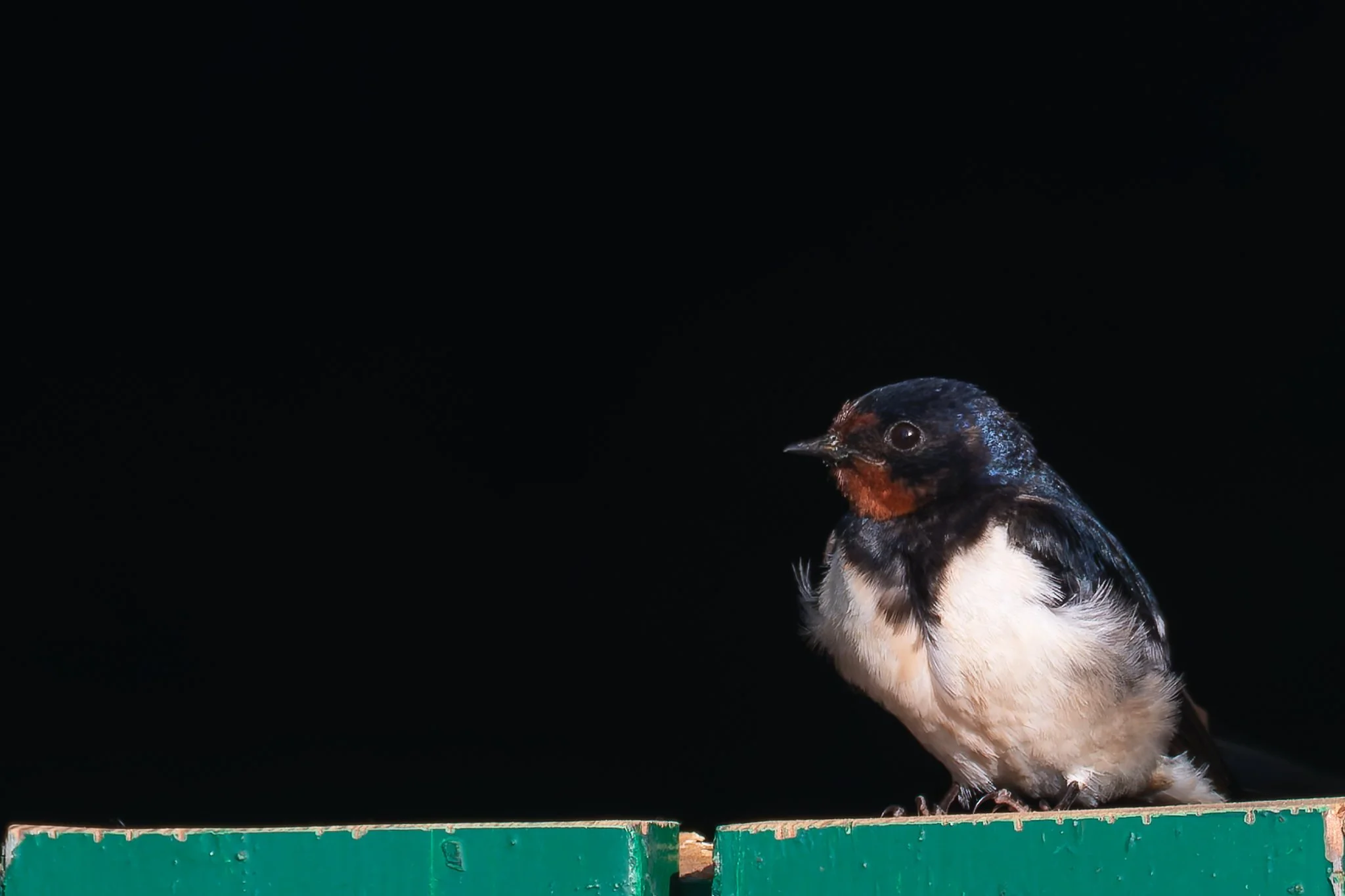 20.06.25 (12 of 51).jpg