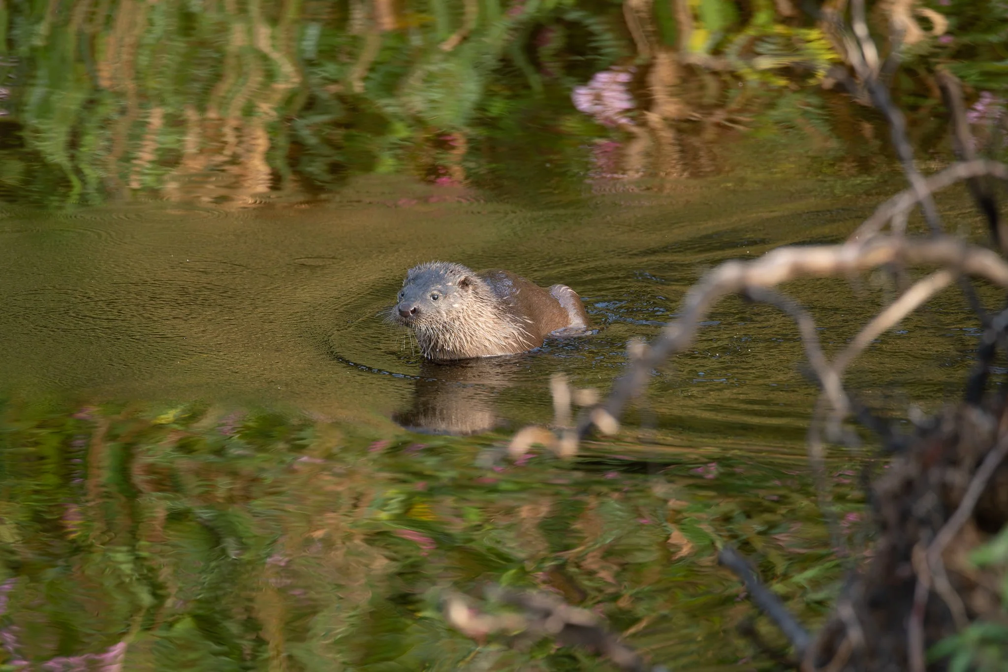 04SEP25 (8 of 11).jpg