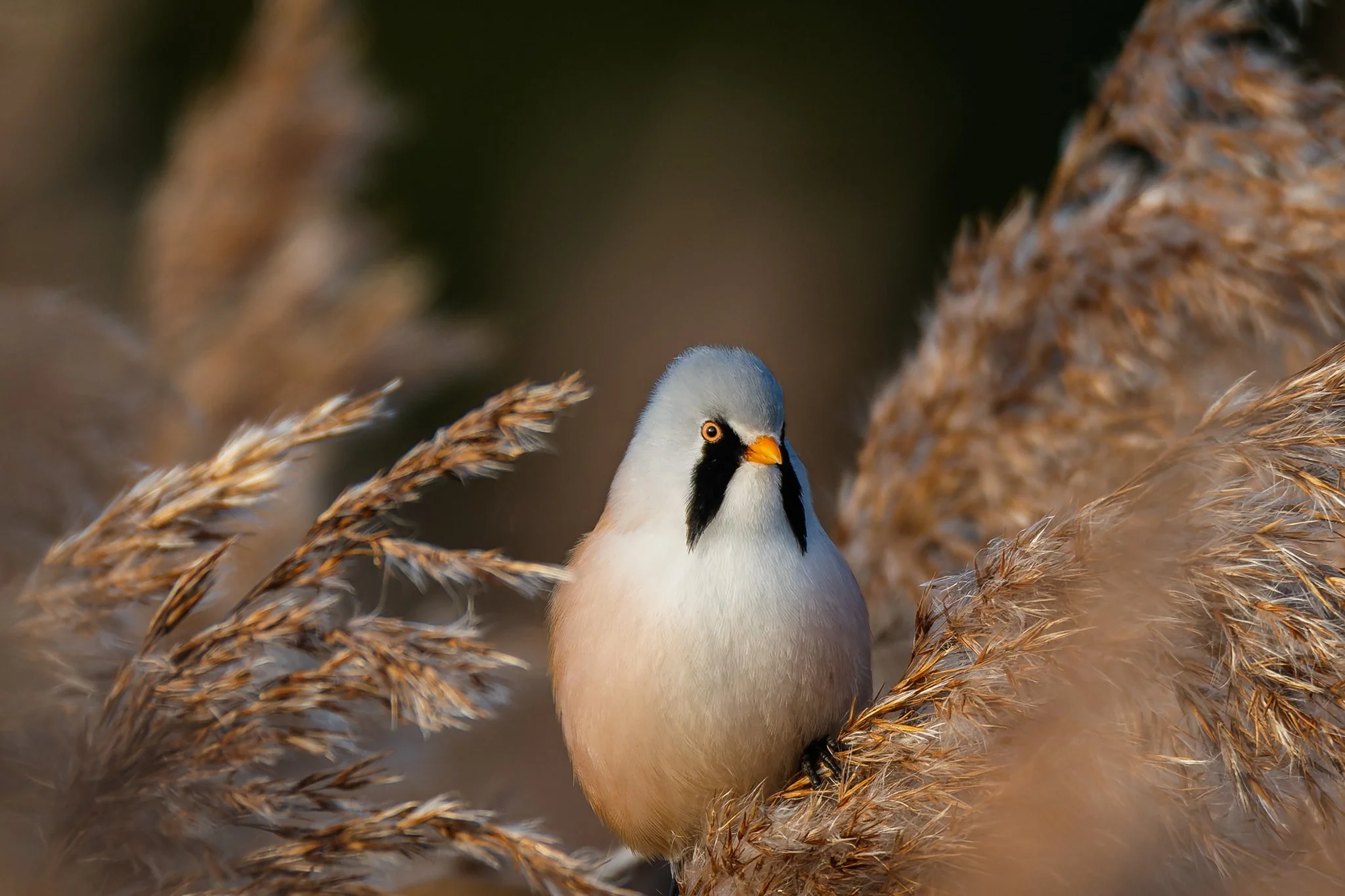 15OCT25 (8 of 11).jpg