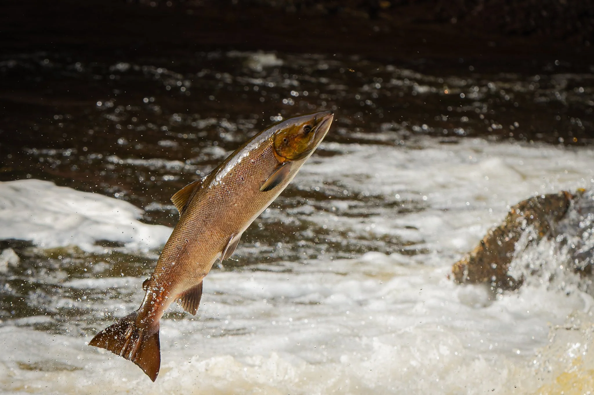 05.10.25 (22 of 45).jpg