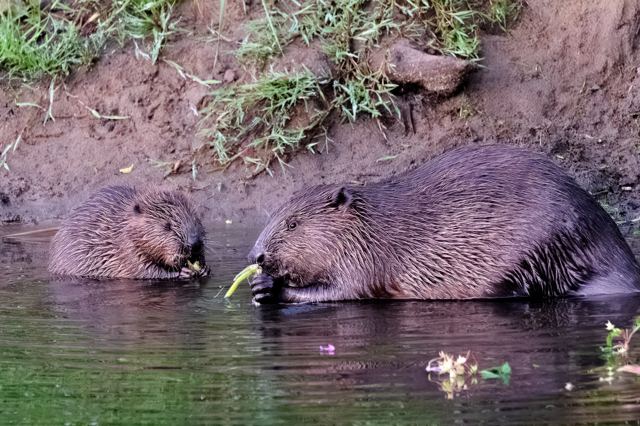 03.08.24 (28 of 36).jpg