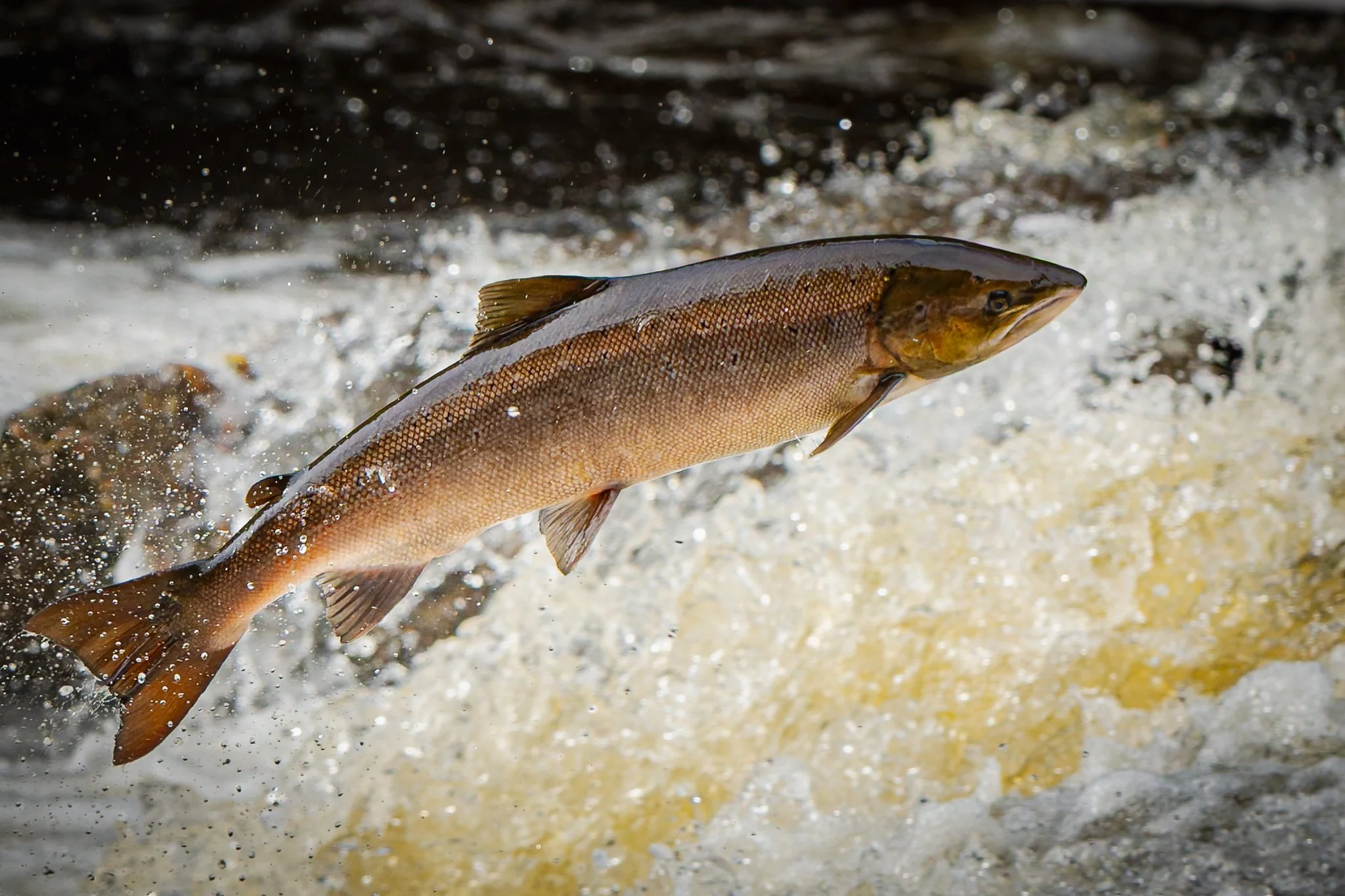 05.10.25 (30 of 45).jpg