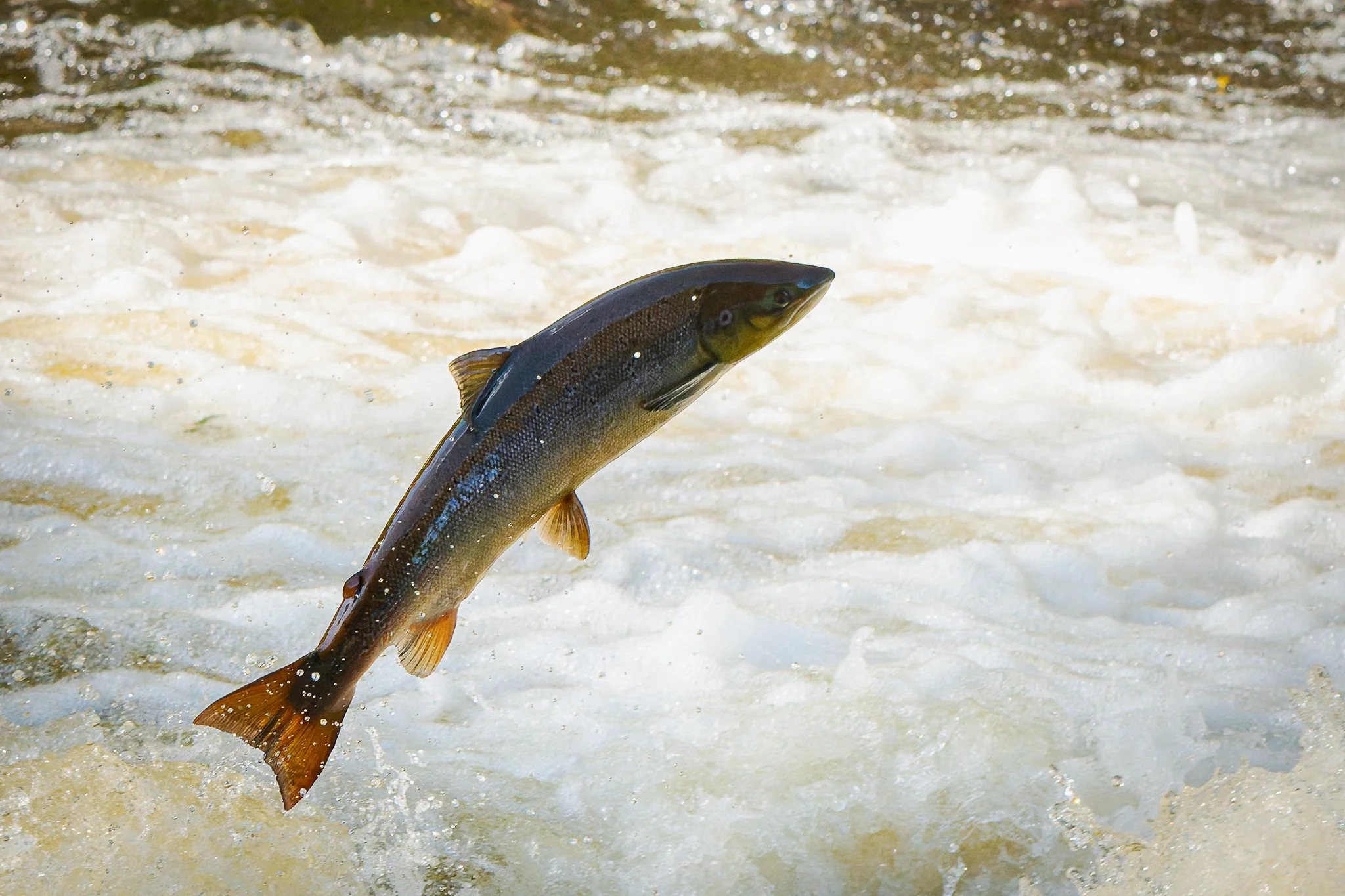 05.10.25 (9 of 45).jpg