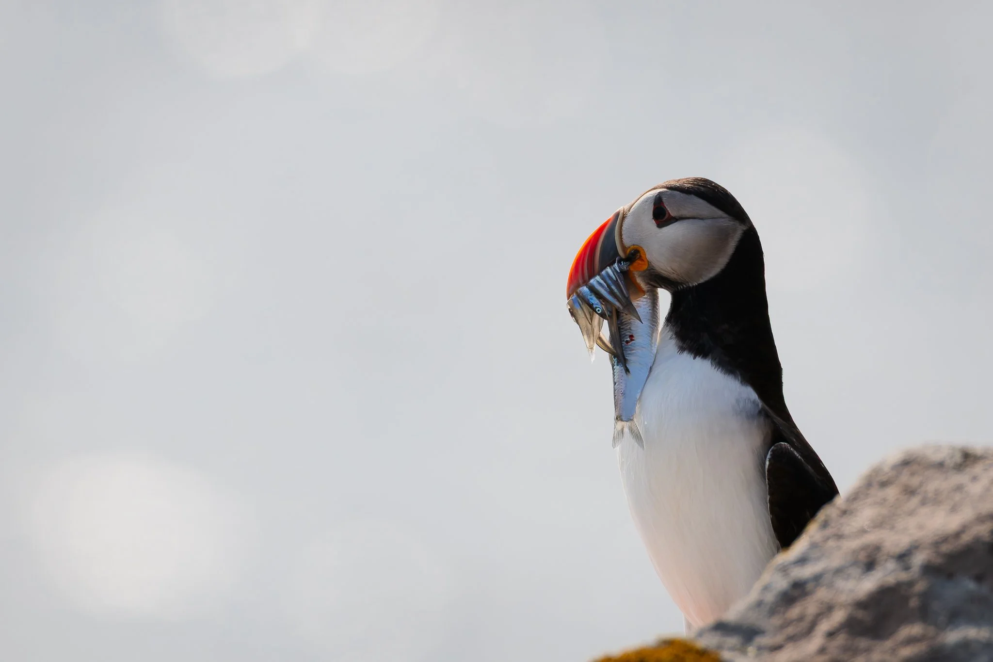 20.06.25 (45 of 51).jpg