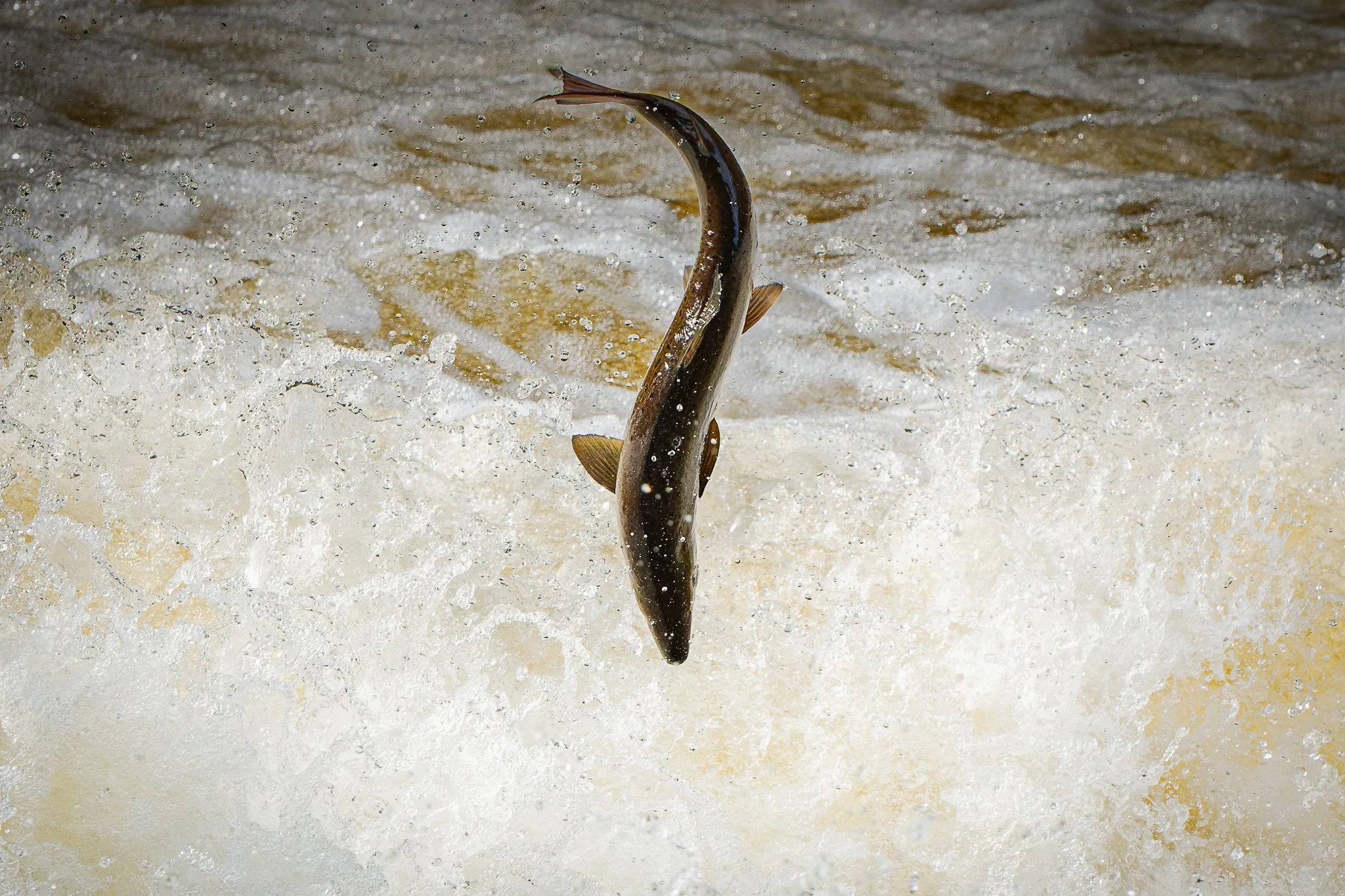 05.10.25 (33 of 45).jpg