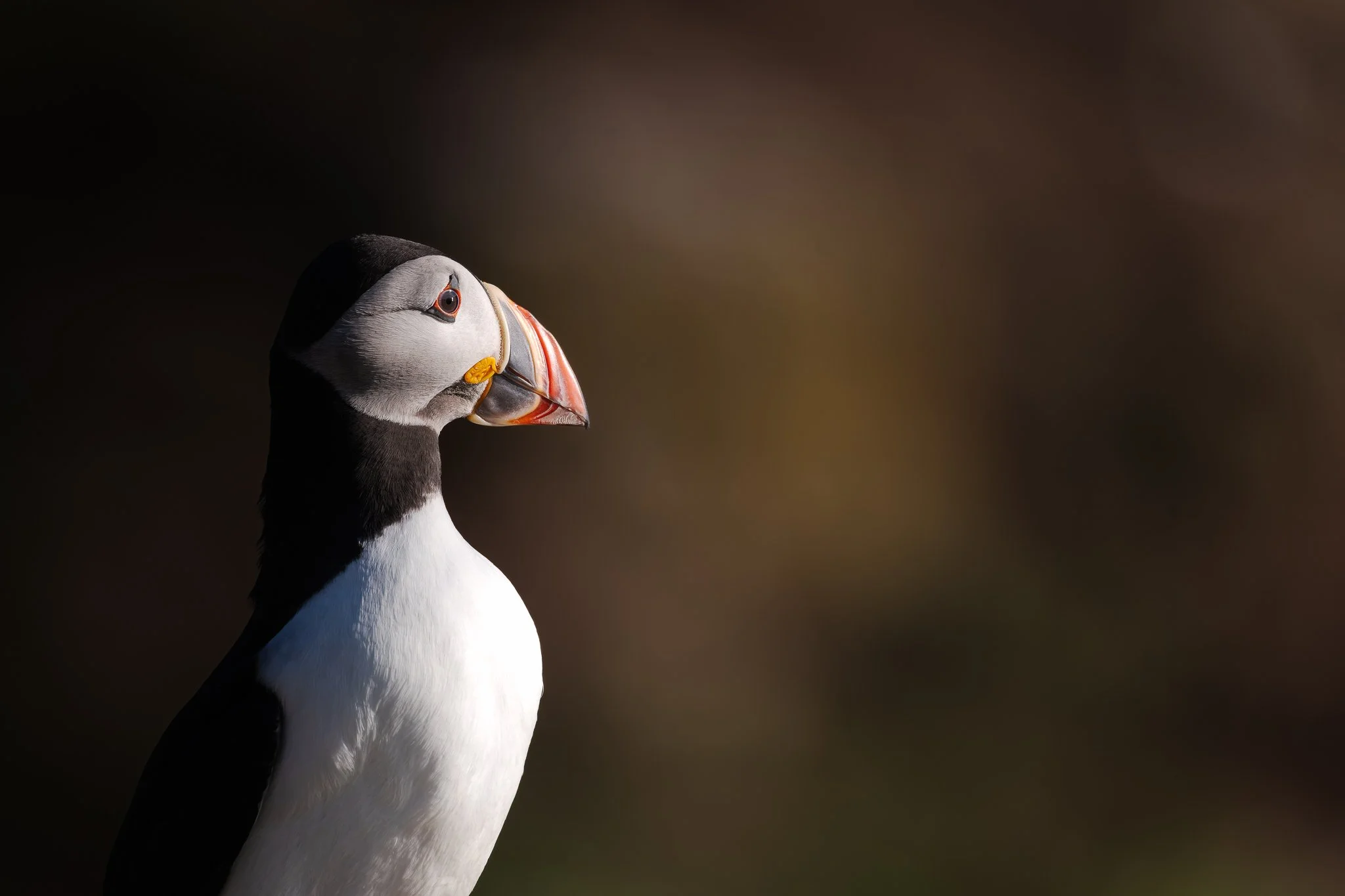 20.06.25 (15 of 51).jpg