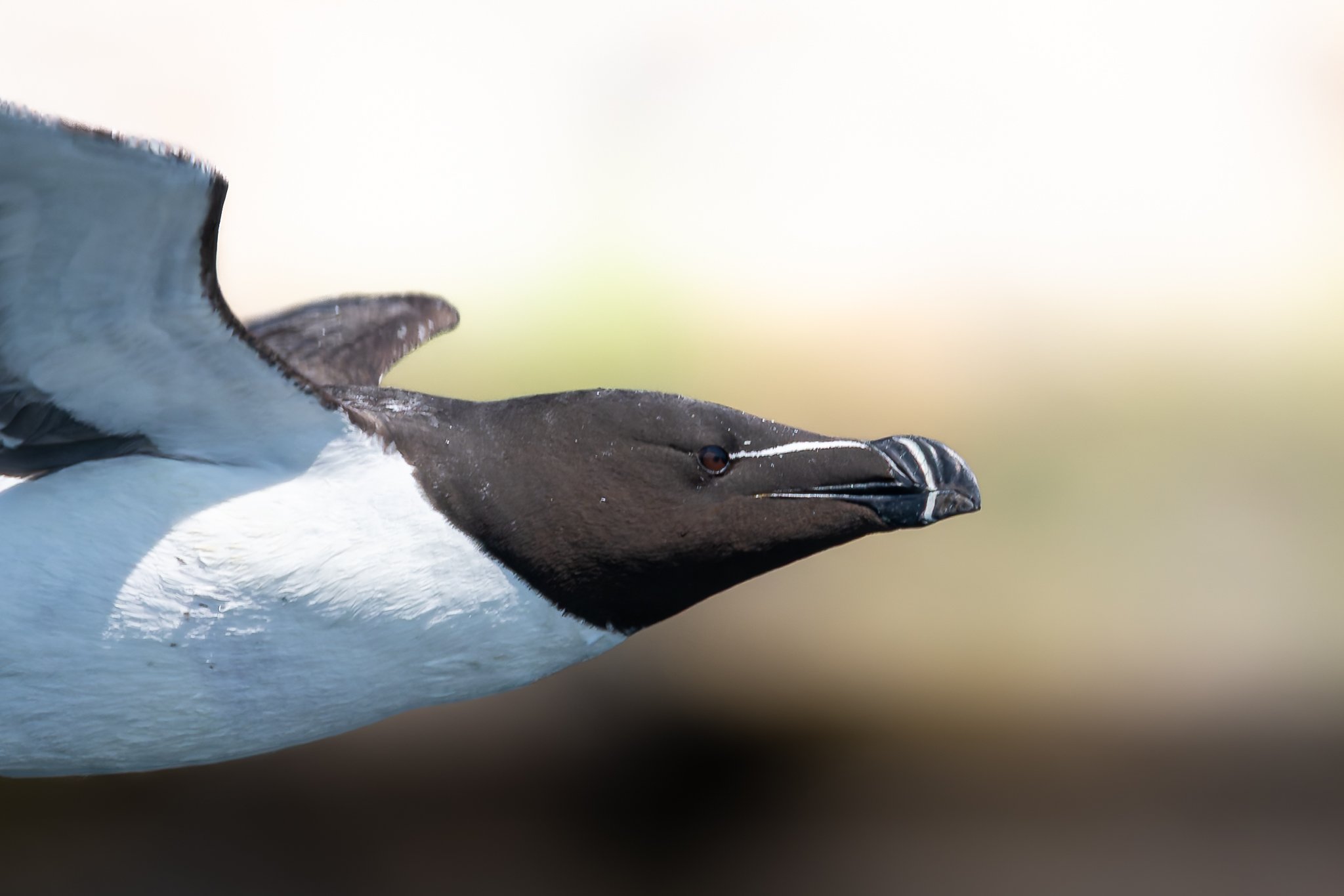 20.06.25 (32 of 51).jpg