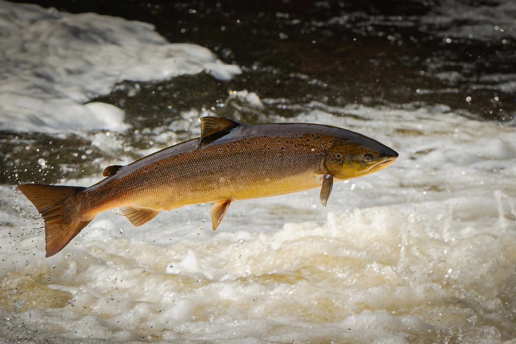 05.10.25 (25 of 45).jpg