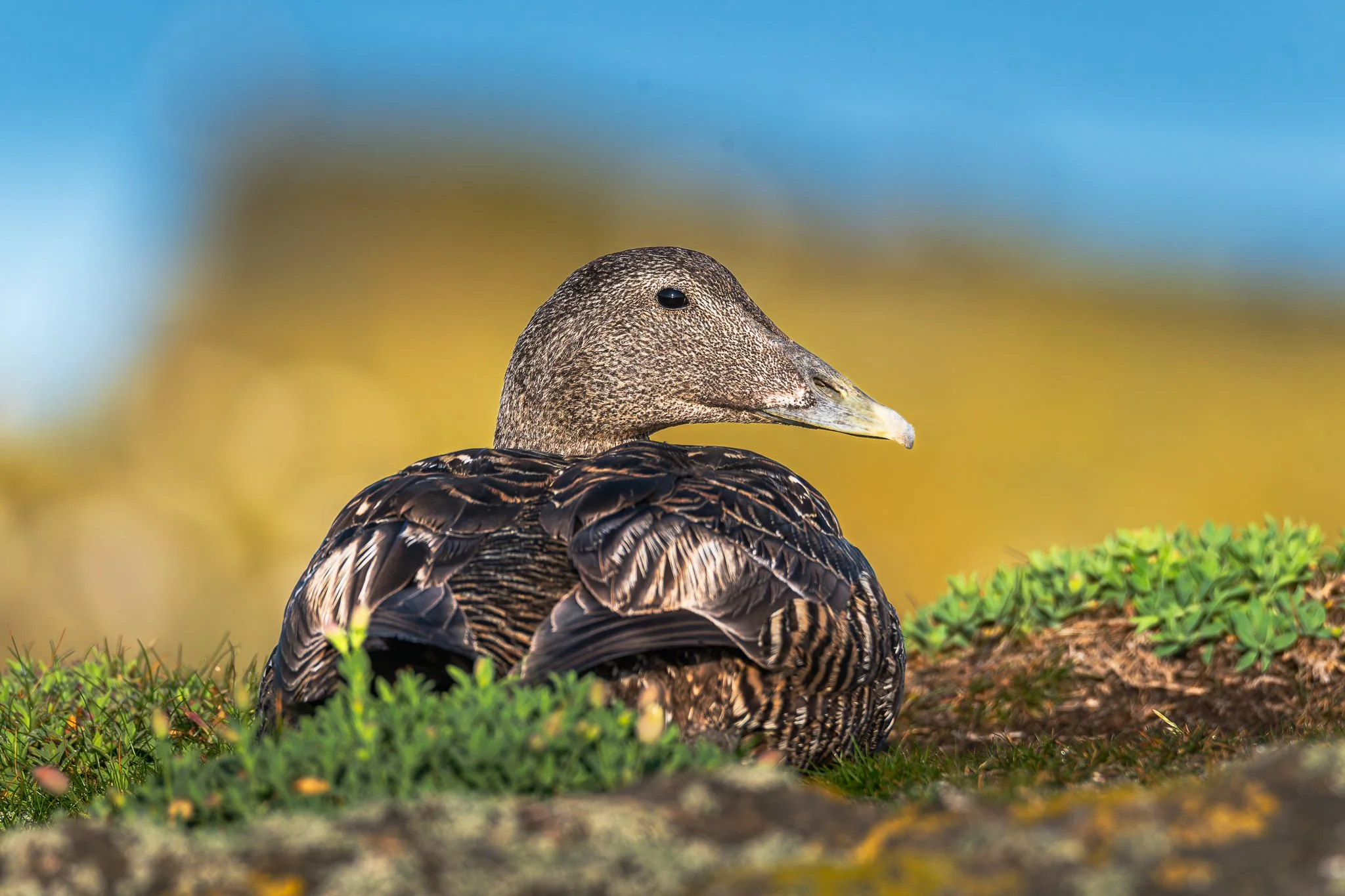 20.06.25 (7 of 51).jpg