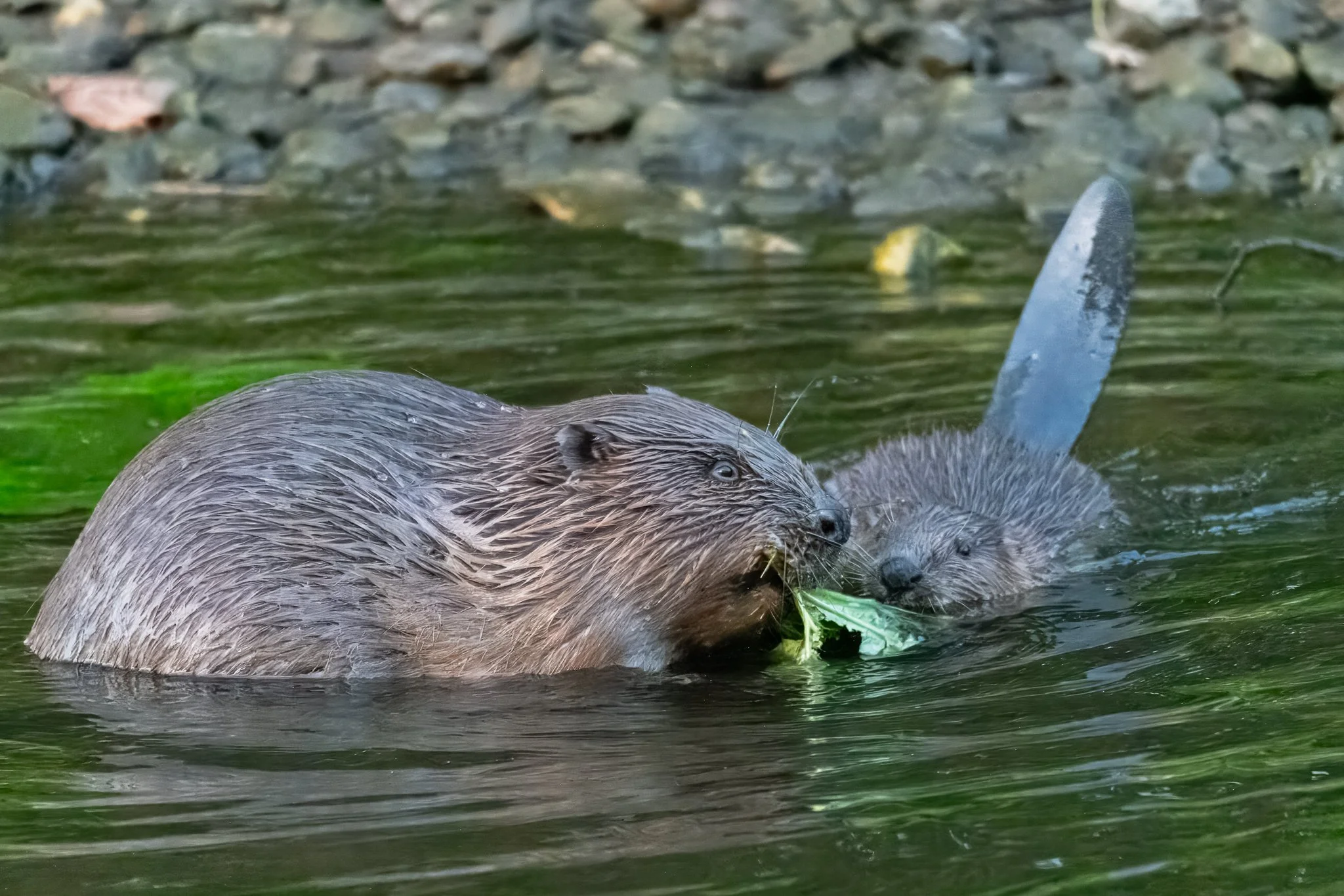 03.08.24 (15 of 36).jpg