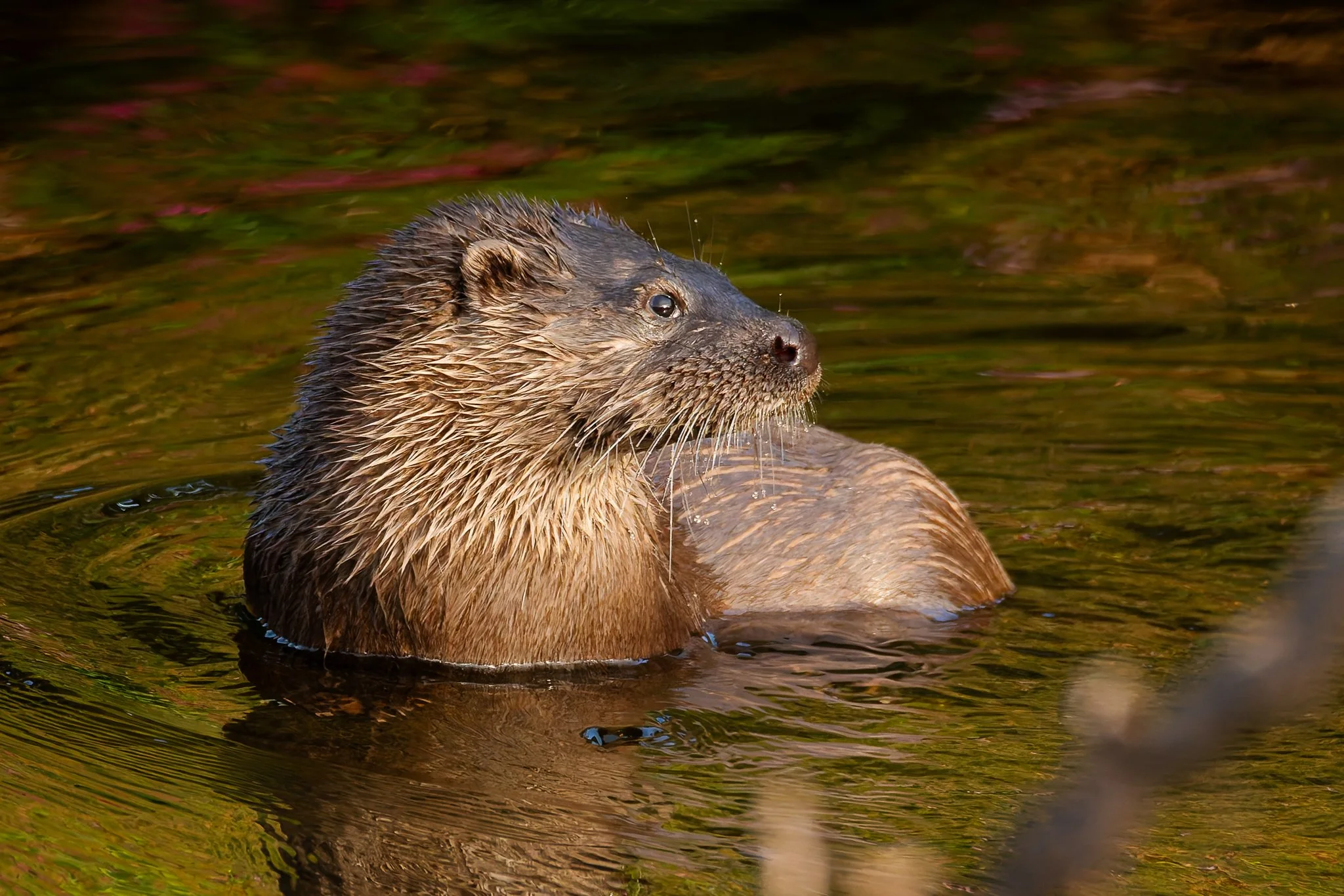 04SEP25 (10 of 11).jpg