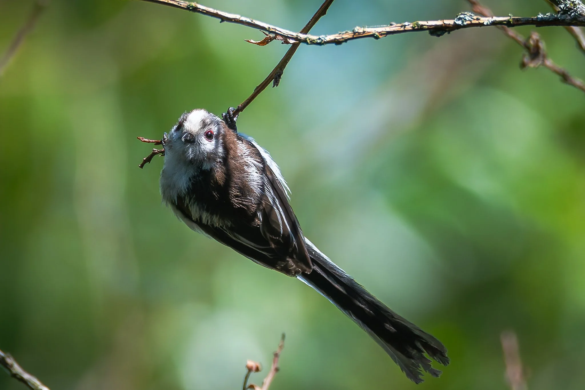 28AUG (24 of 78).jpg