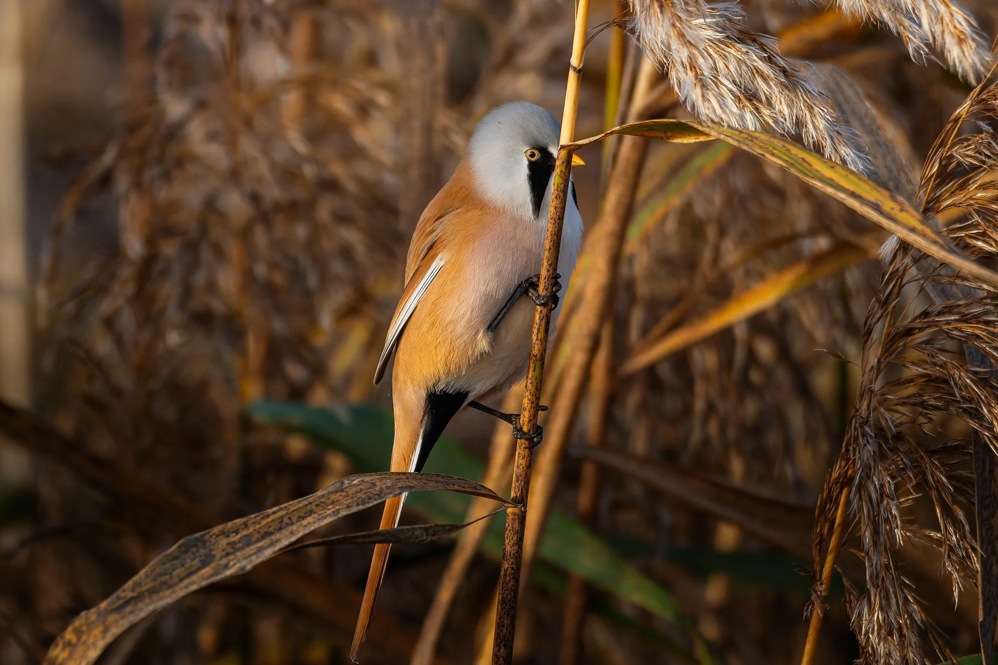 15OCT25 (3 of 11).jpg