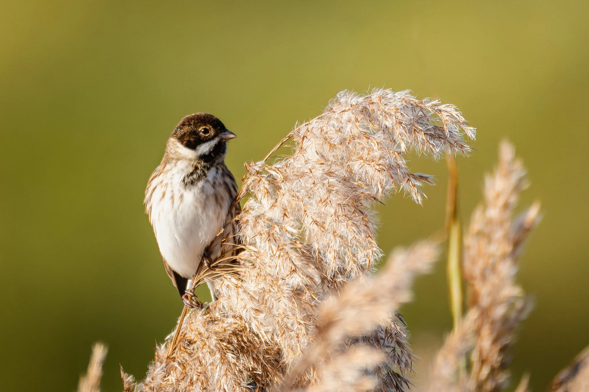 15OCT25 (10 of 11).jpg