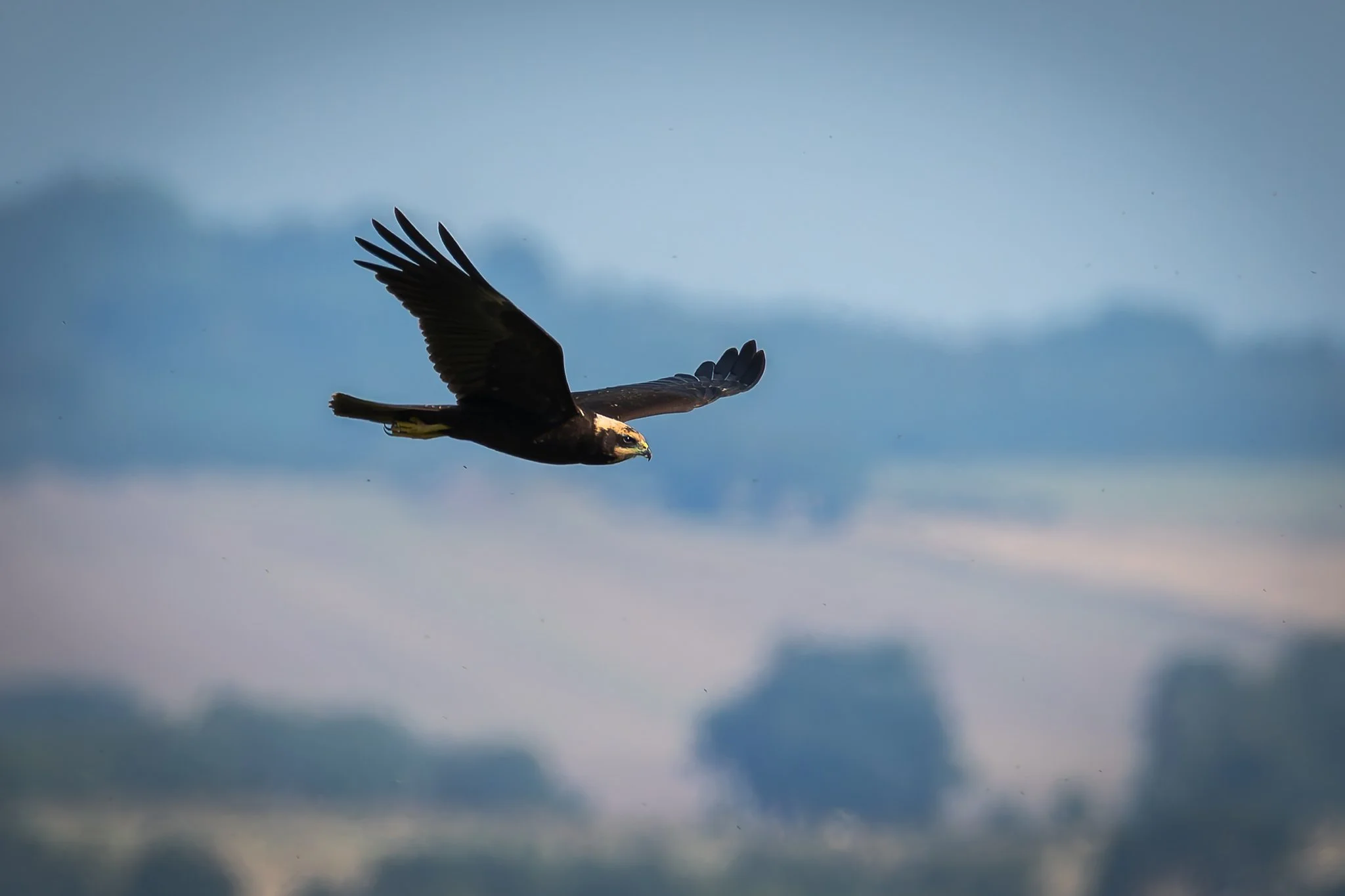 28AUG (73 of 78).jpg