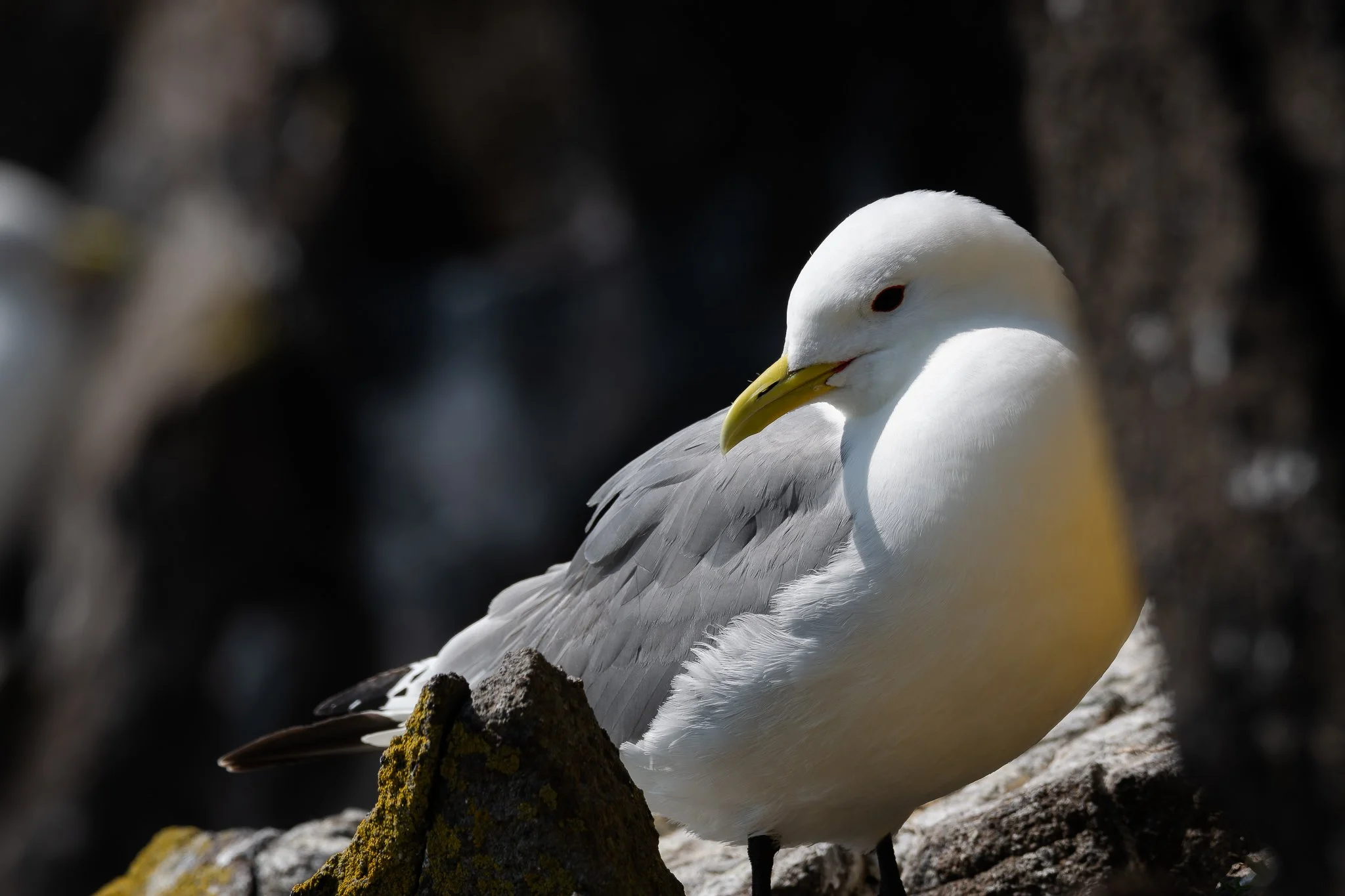 20.06.25 (36 of 51).jpg