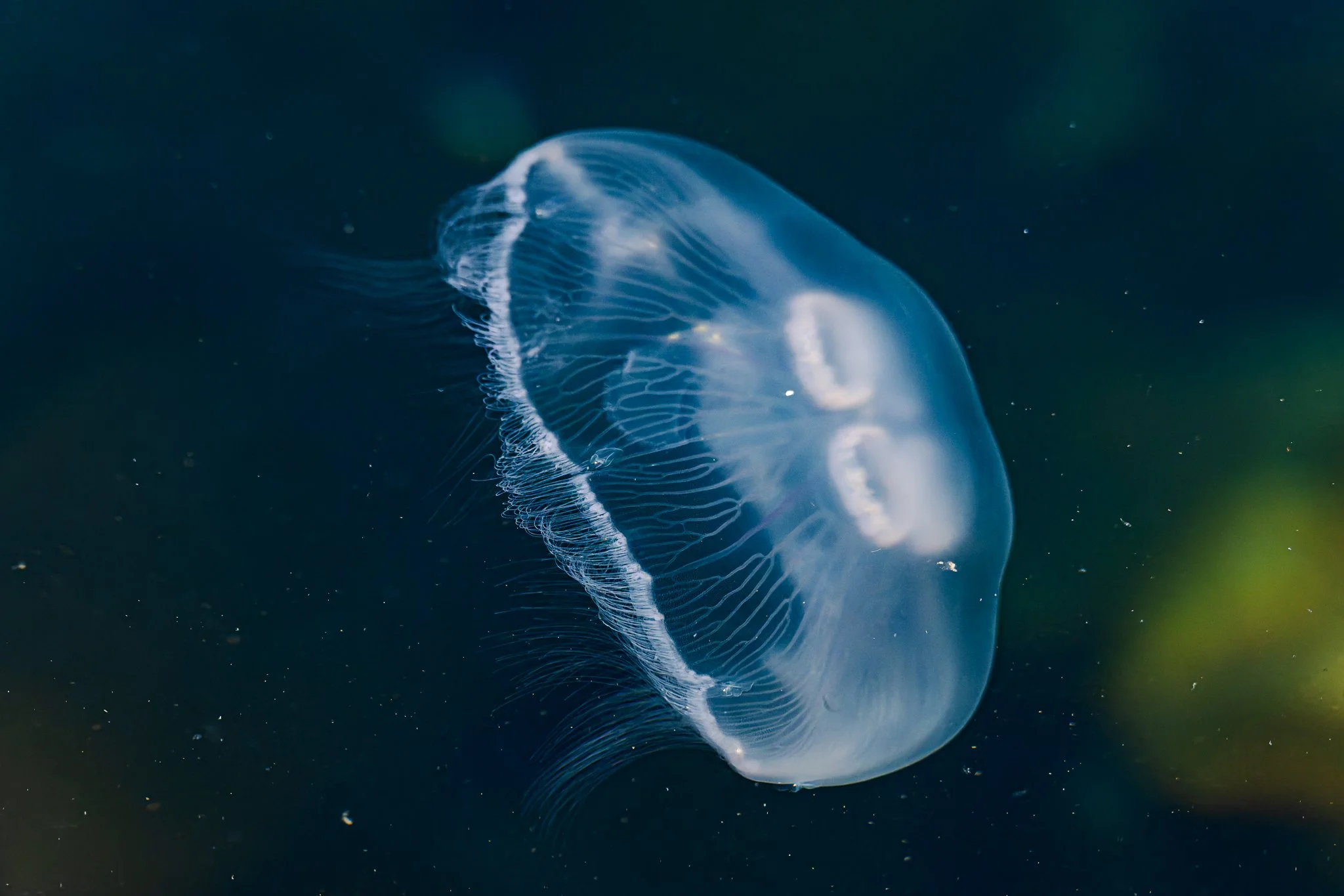 20.06.25 (19 of 51).jpg