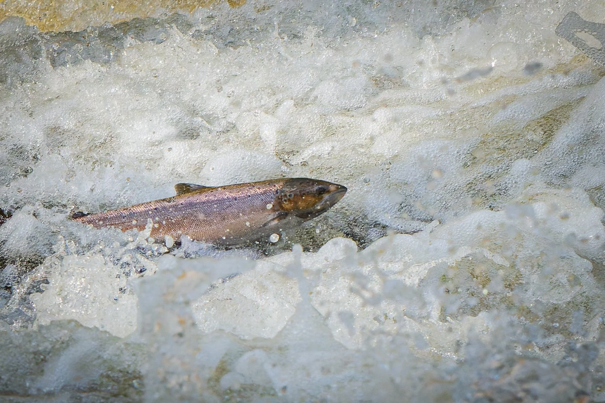 05.10.25 (5 of 45).jpg