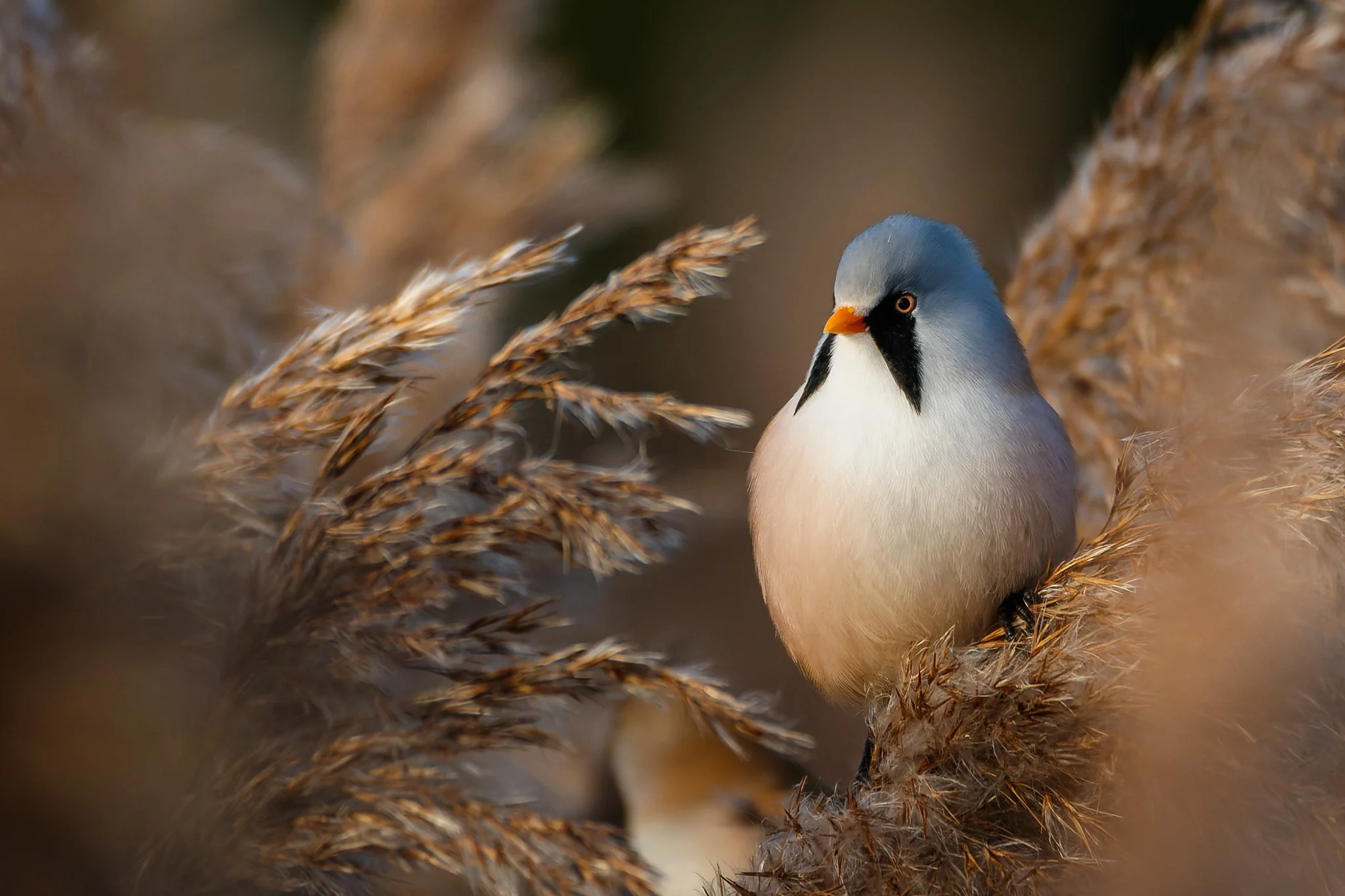 15OCT25 (7 of 11).jpg