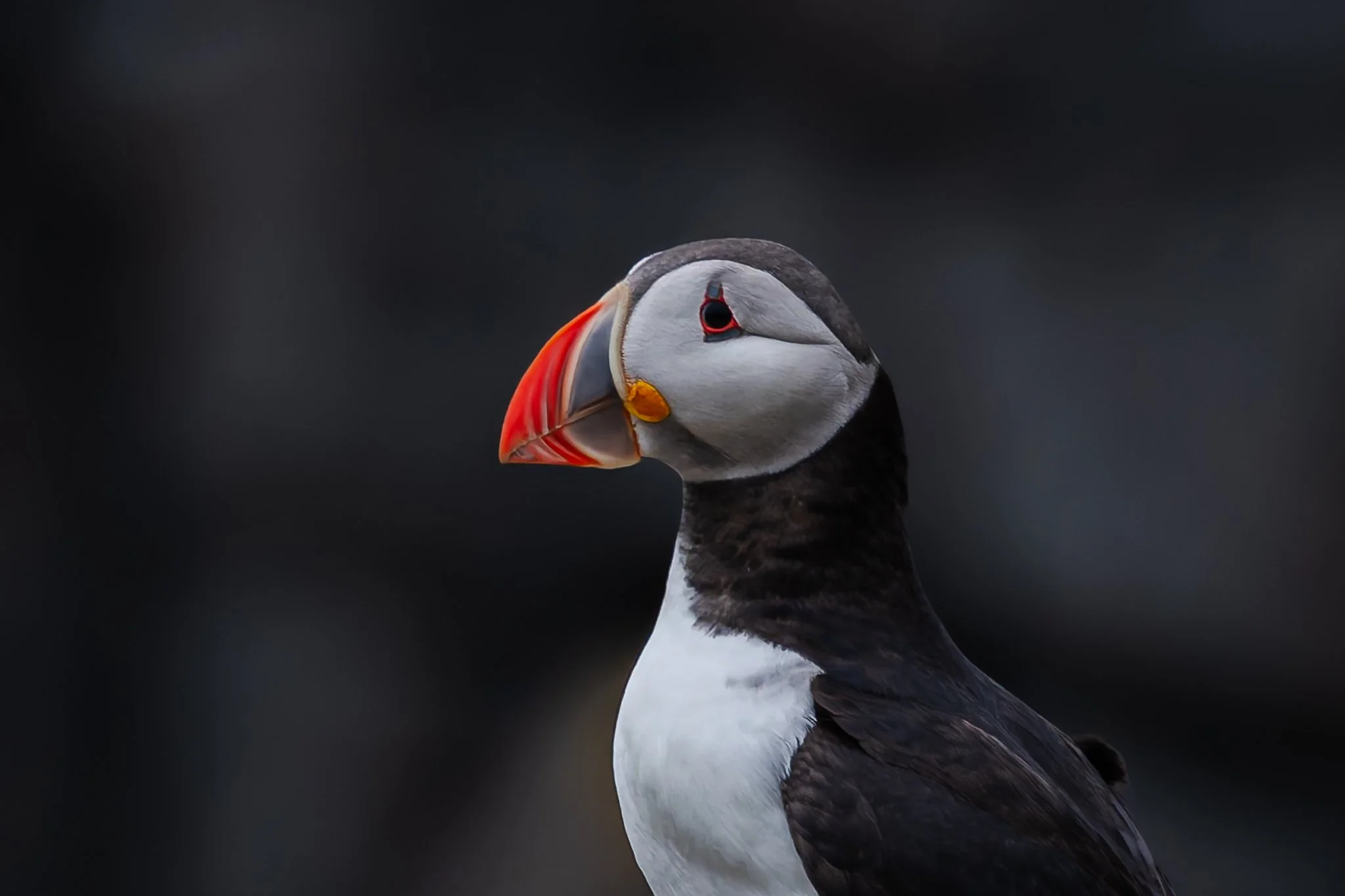 18.05.25 (26 of 49).jpg