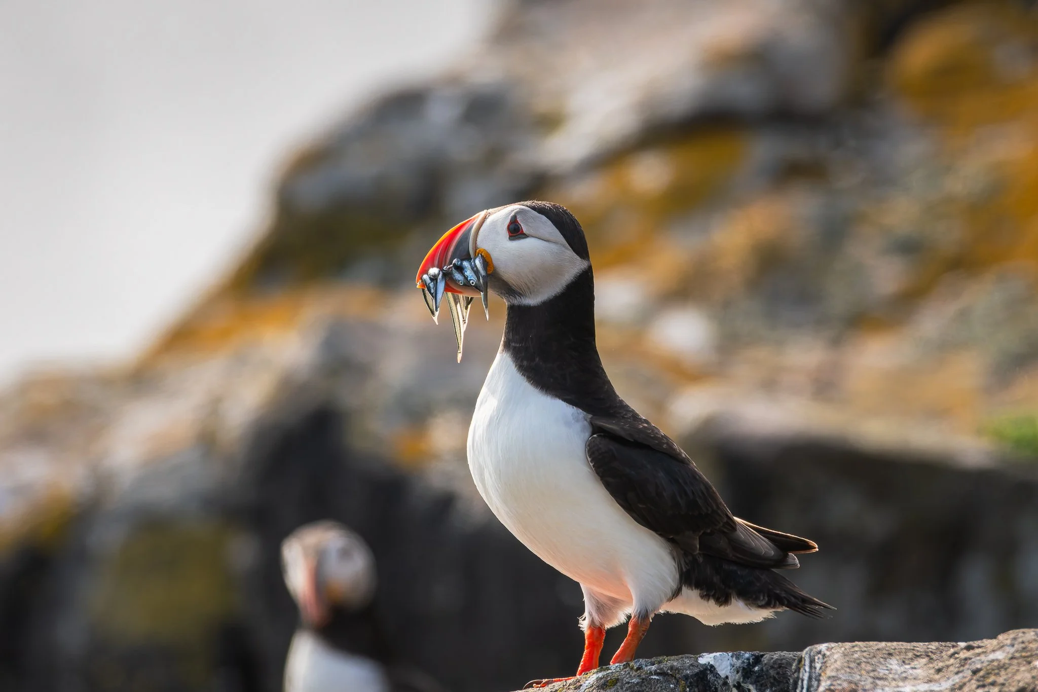 20.06.25 (48 of 51).jpg