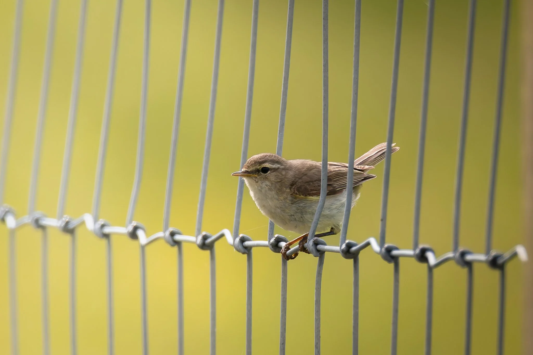 28AUG (14 of 78).jpg