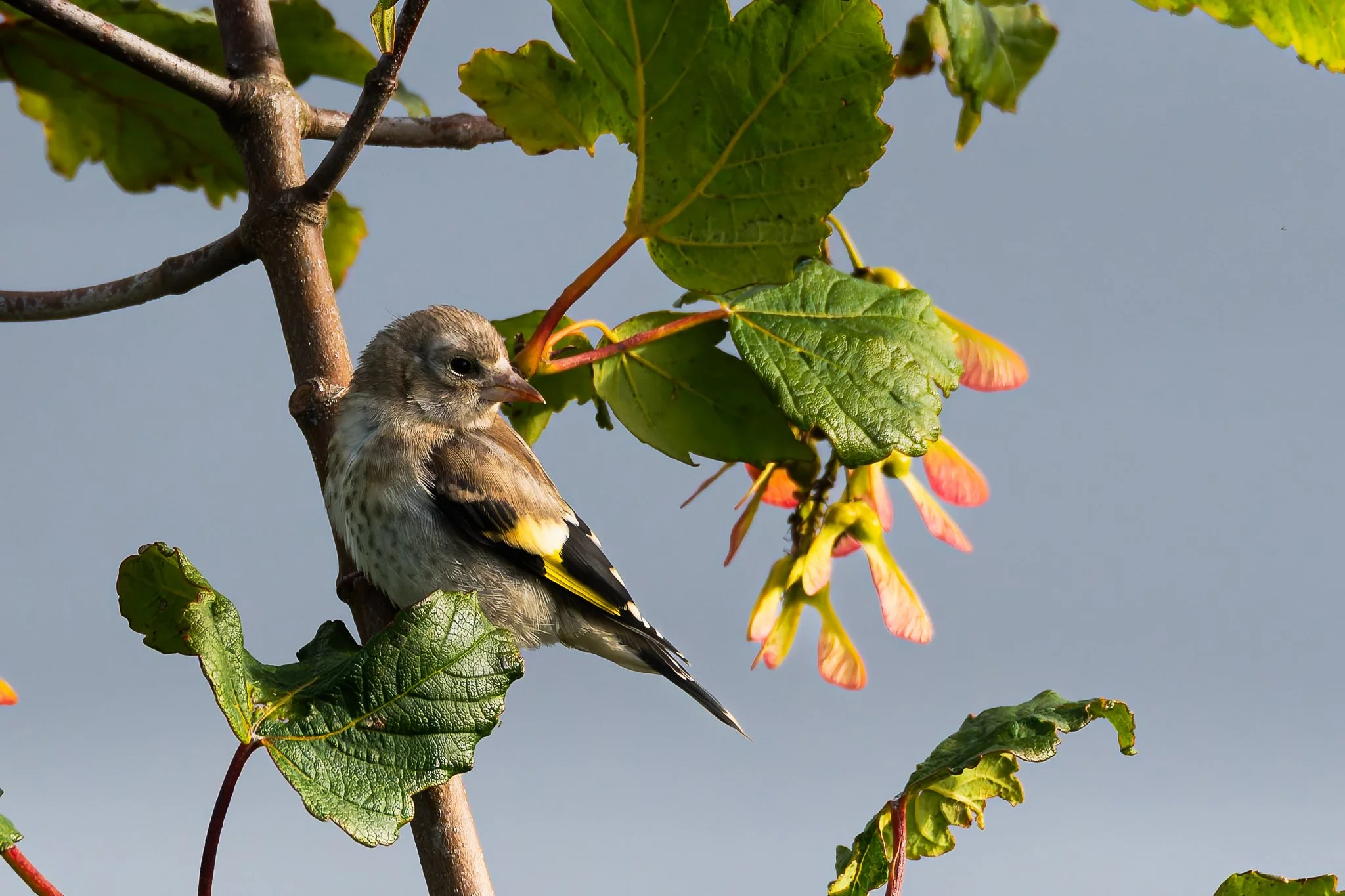 28AUG (11 of 78).jpg