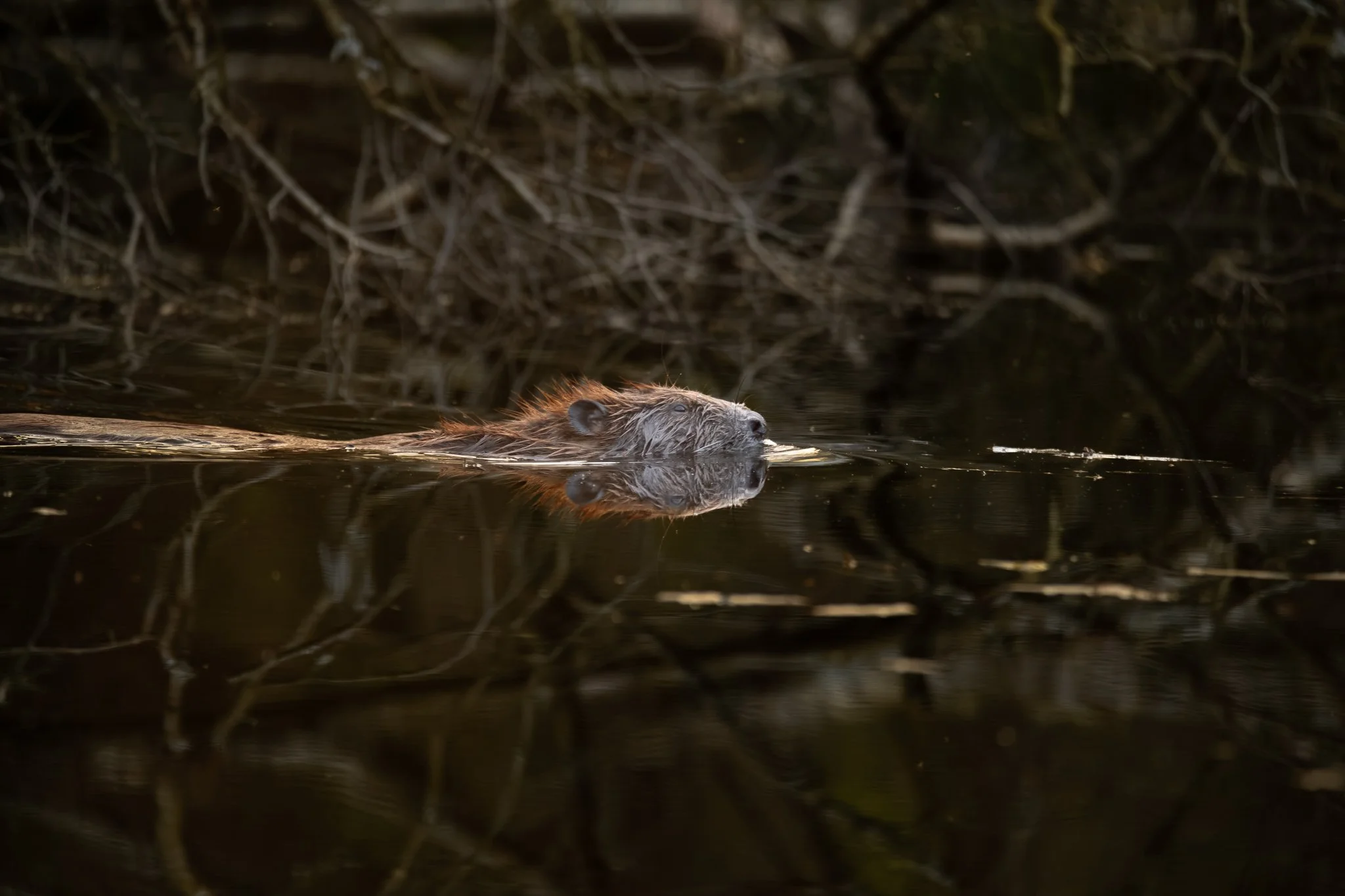 29.04.25 (11 of 10).jpg