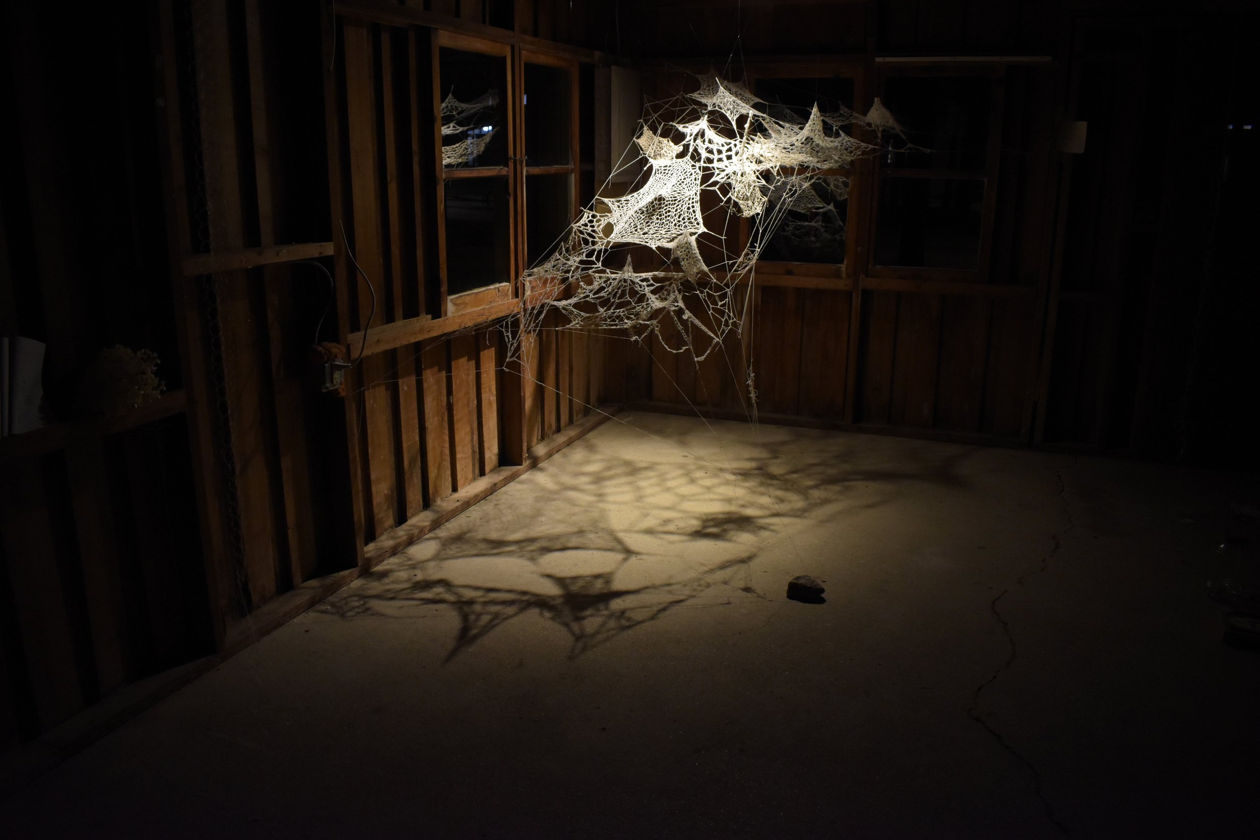 DSC_0071.jpeg