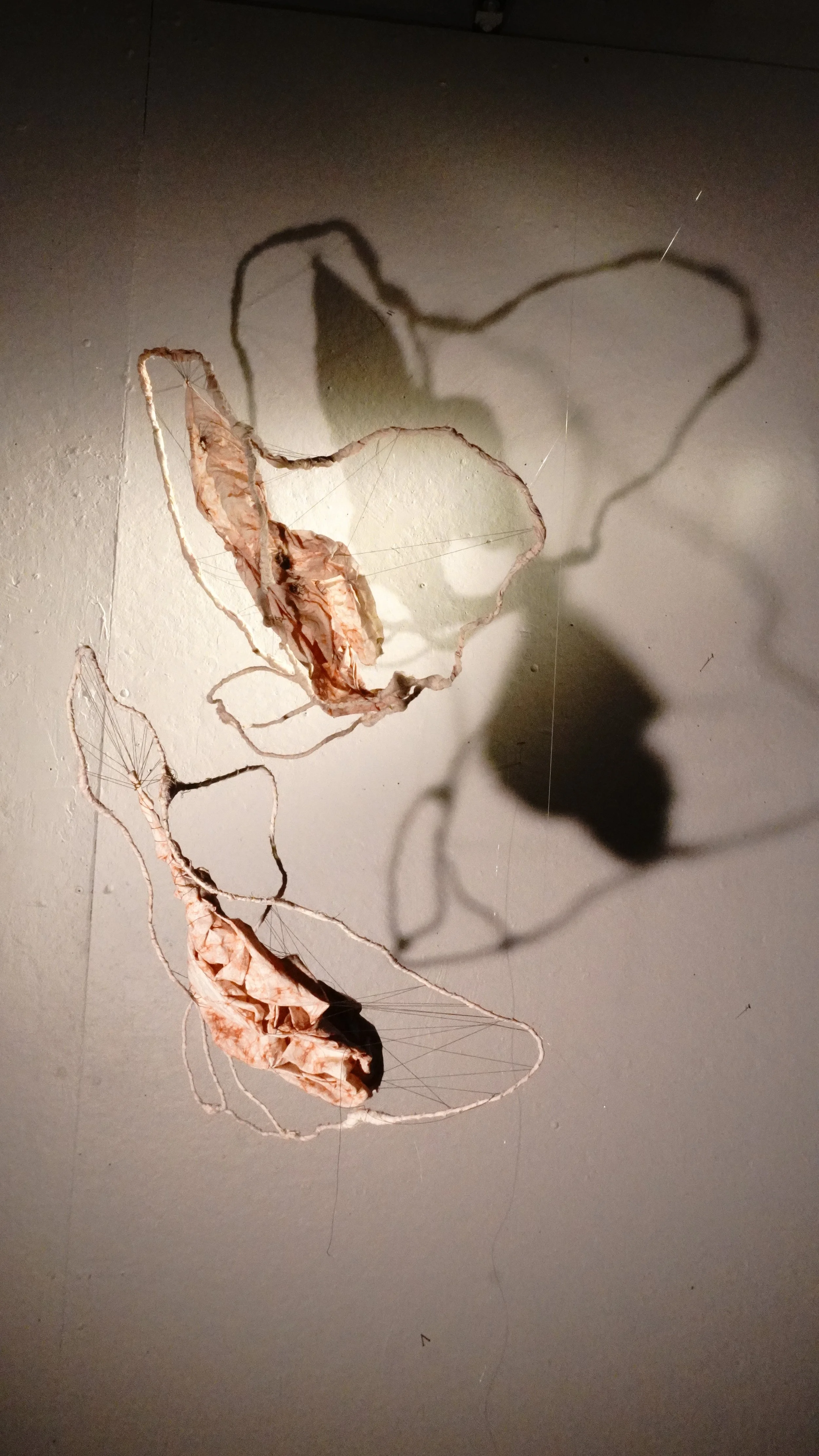 move your hands like i do