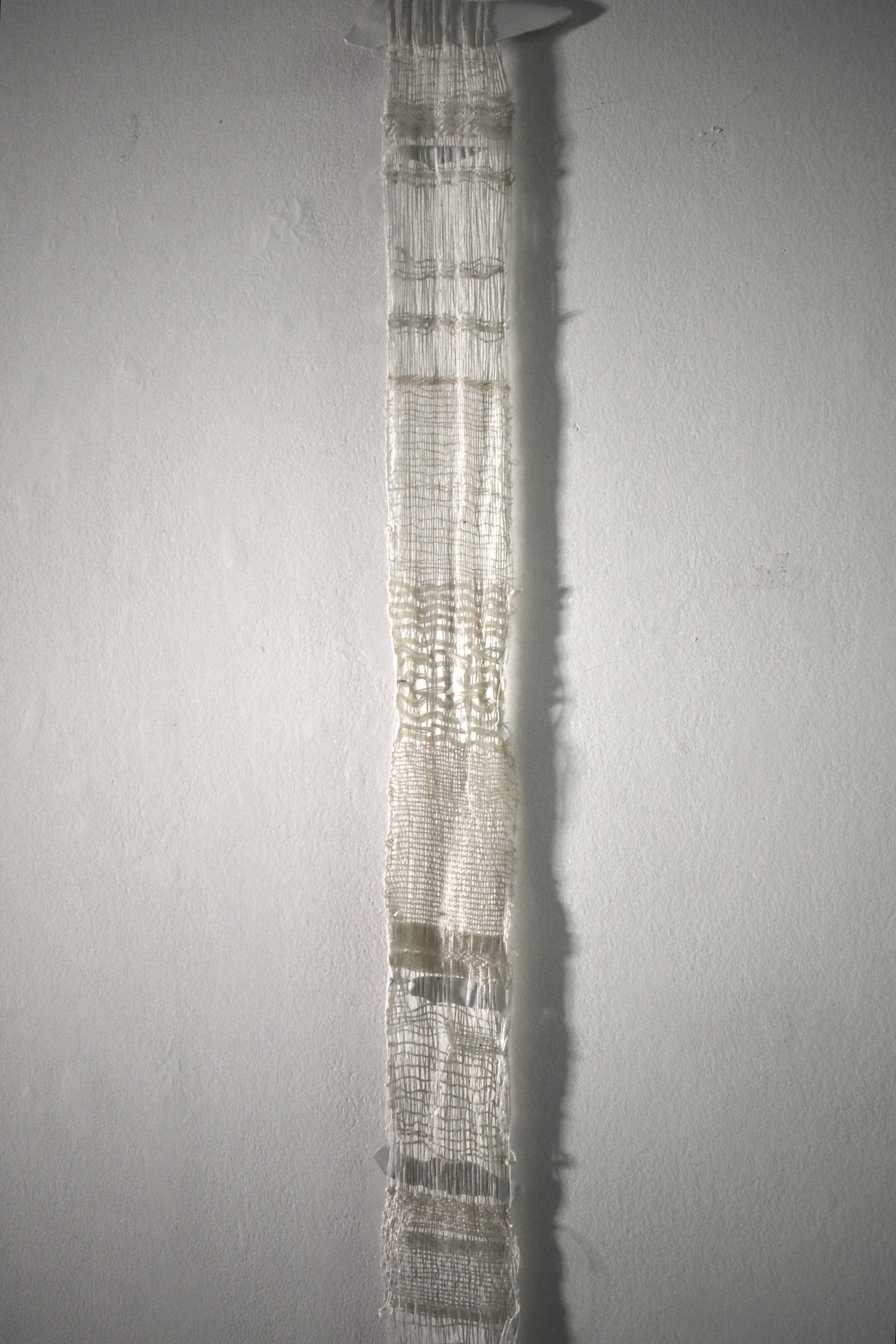 DSC_0893.jpeg