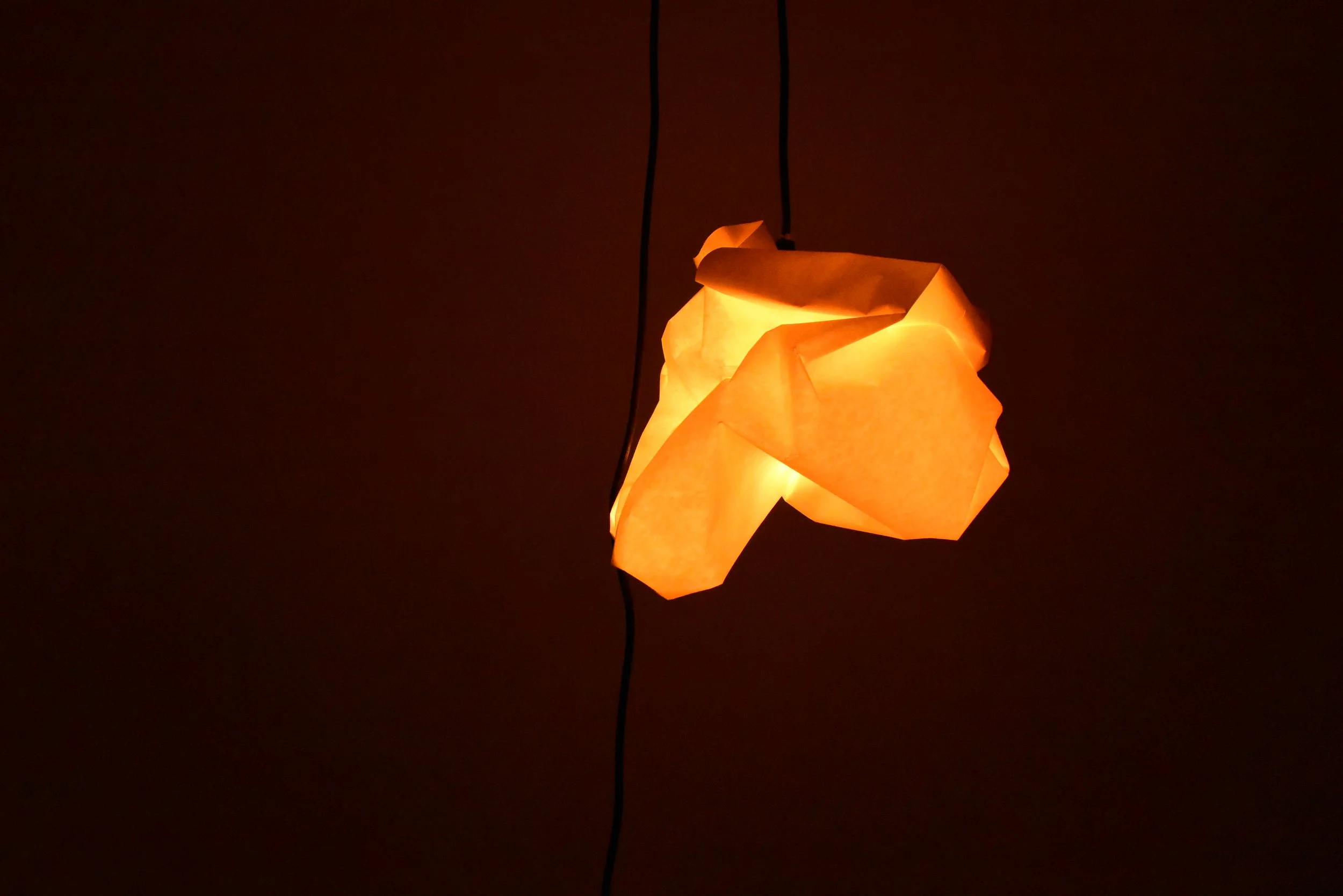 DSC_0644.jpeg