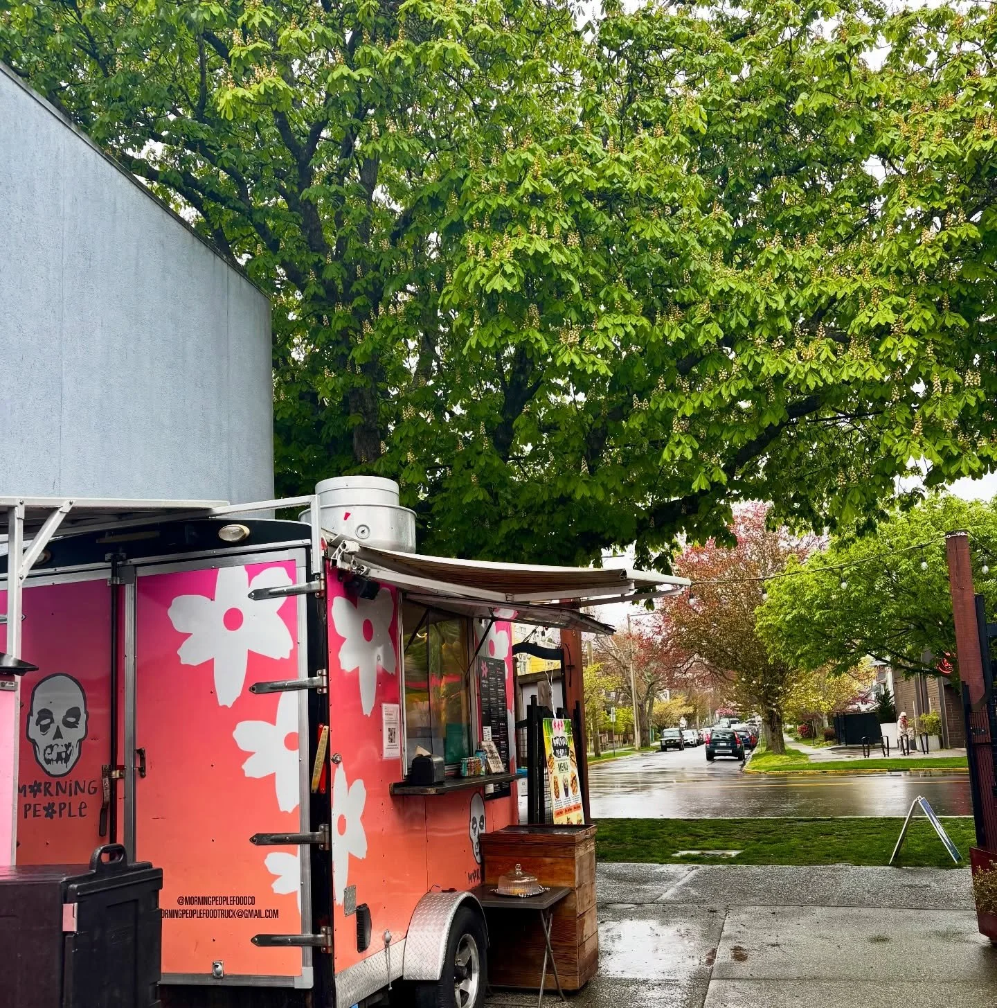 We love it when the trees are in full bloom 🤍 it&rsquo;s such a characteristic feature of @cookstreetvillage &hellip;the chestnut canopies, birds chirping, &amp; smell of coffee while the happy people stroll with their dogs. 
Come get enchanted ✨ Ra