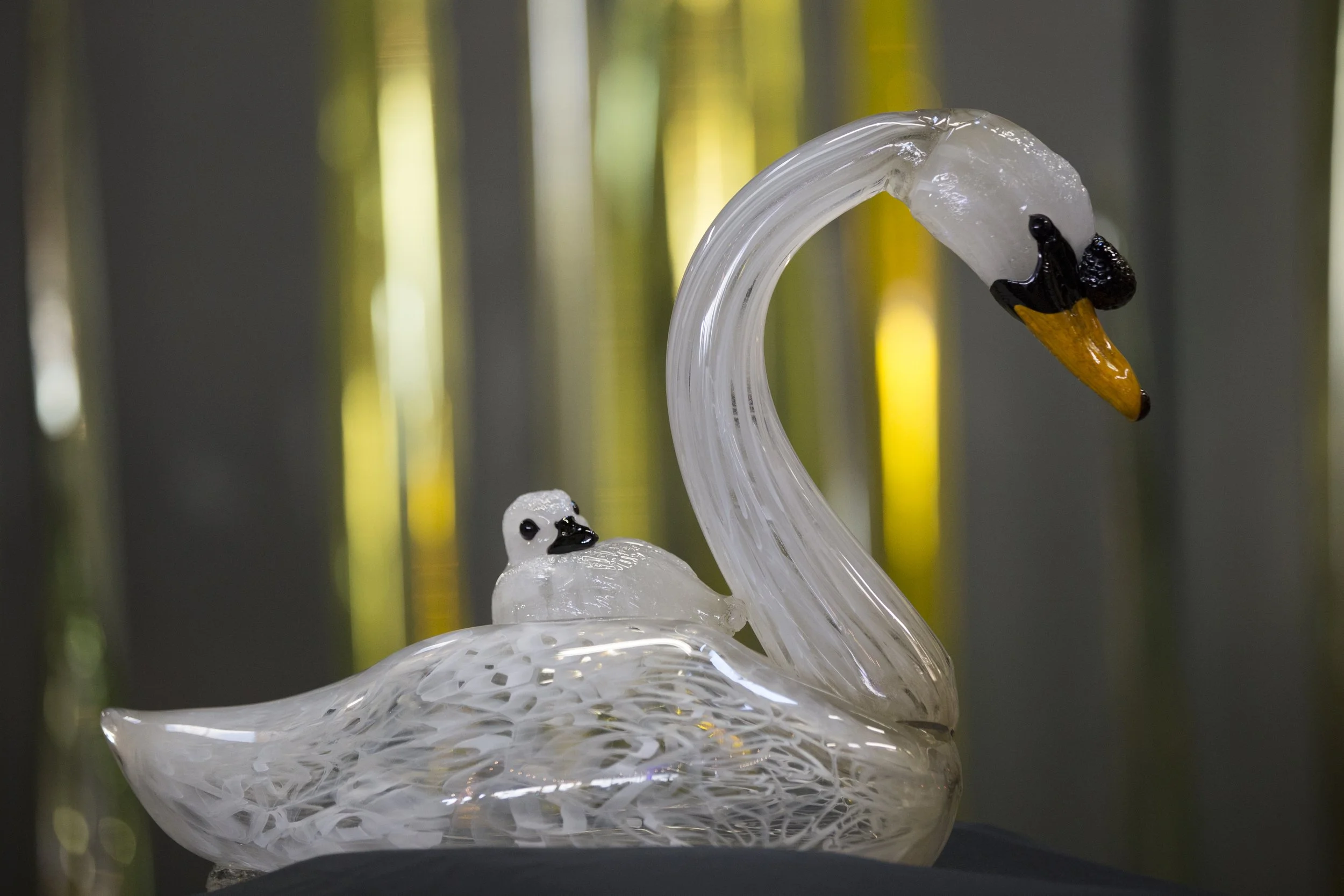 Bird Swan5.jpg