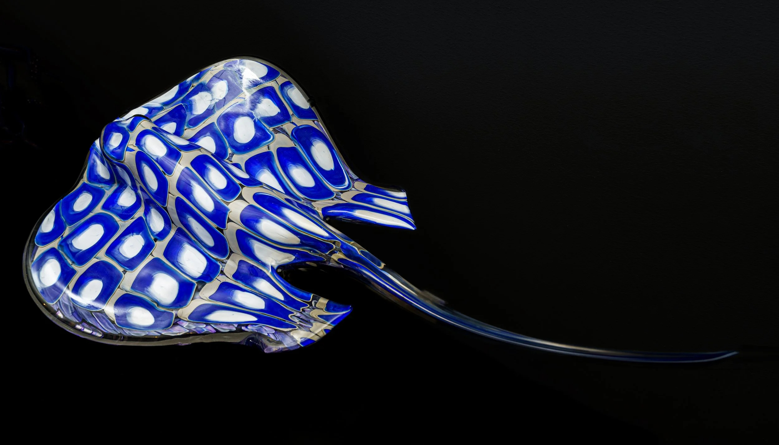 Stingray 1.jpg