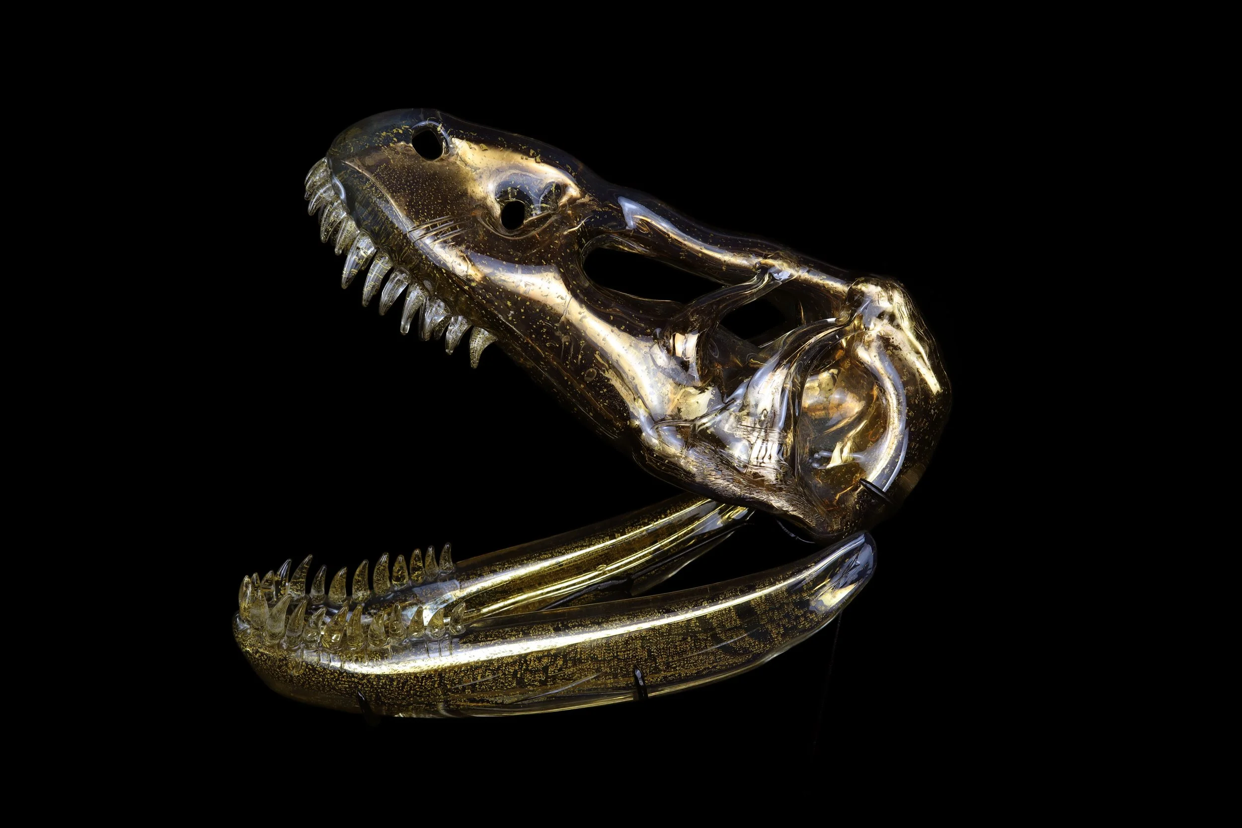 1 Gold T Rex Head.jpg