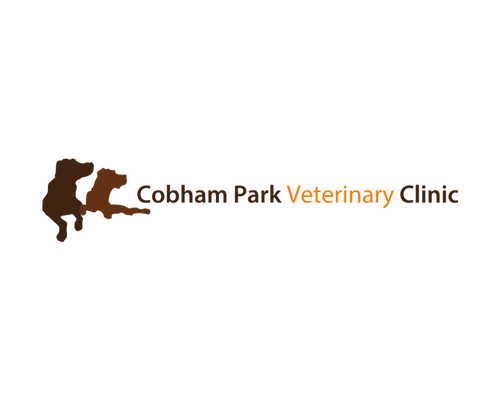 Logo of Celebration Parks Veterinary Clinic with a brown dog silhouette and orange and black text.