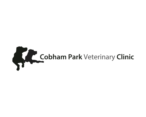 The logo of Collierville Pediatric Clinic featuring a silhouette of a child and the clinic's name in black and green text.