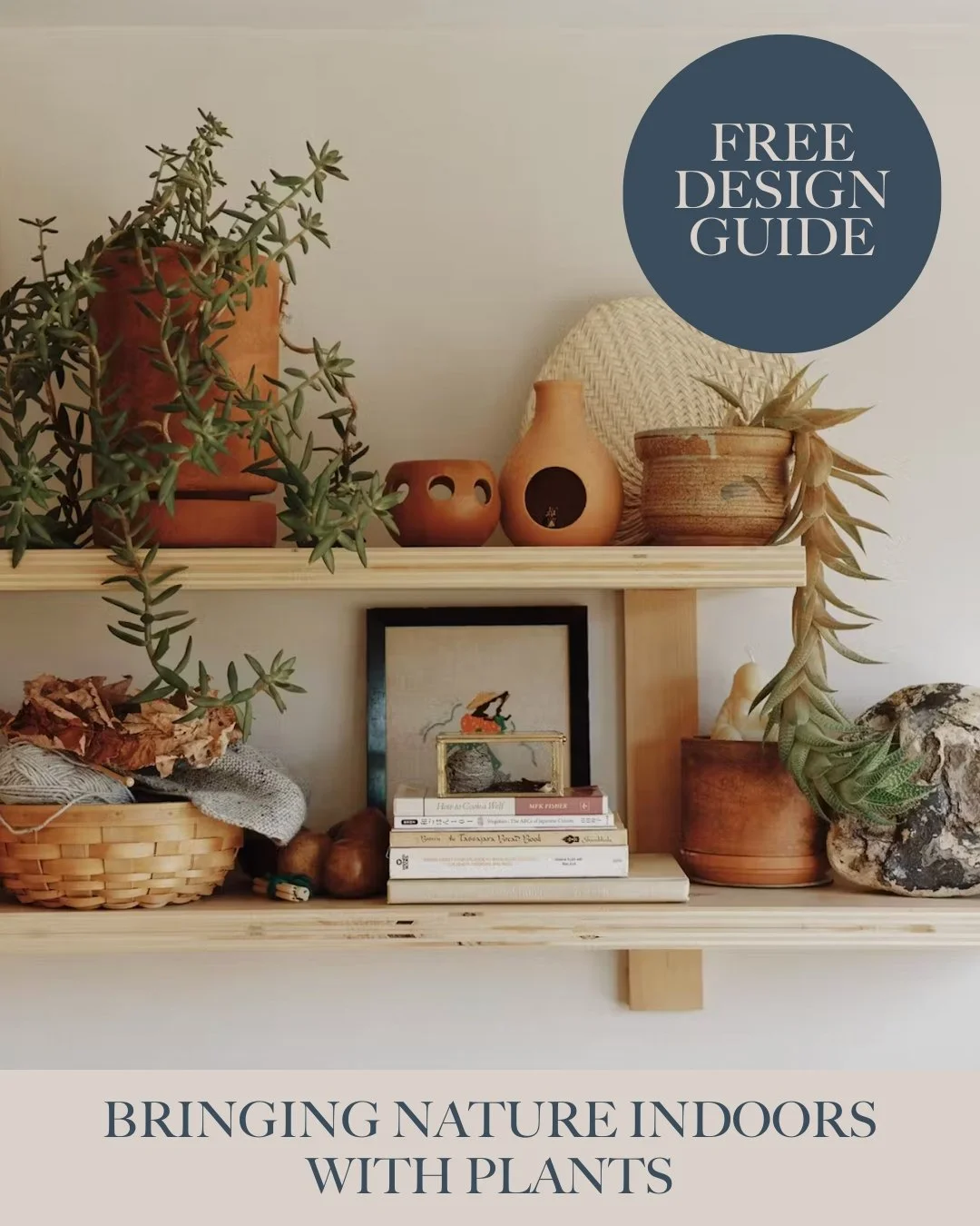 A wooden indoor shelf decorated with various potted plants, ceramics, and books, promoting bringing nature indoors with plants.