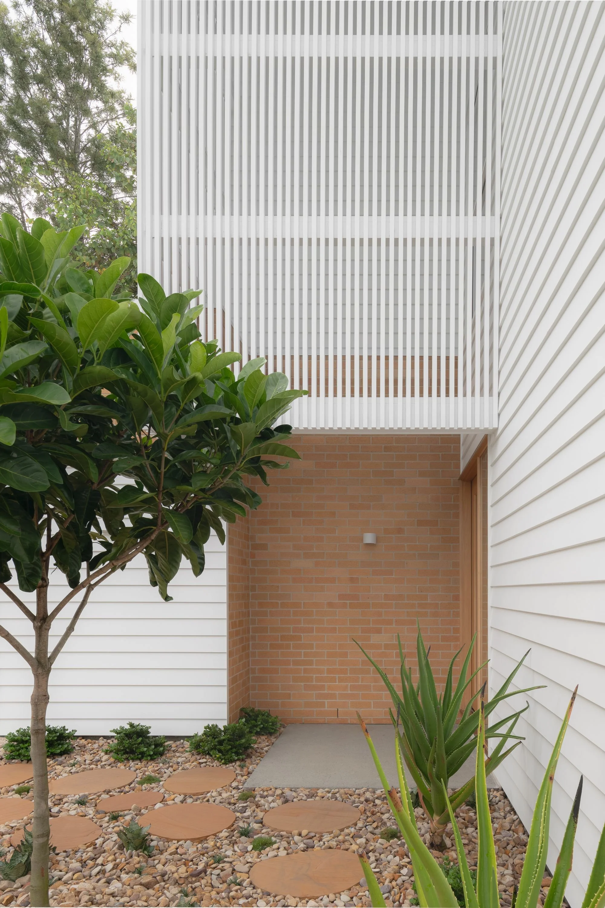 happyhaus-gallery-2025-04-07-photo-taringa-haus-005-SVD-18.jpg